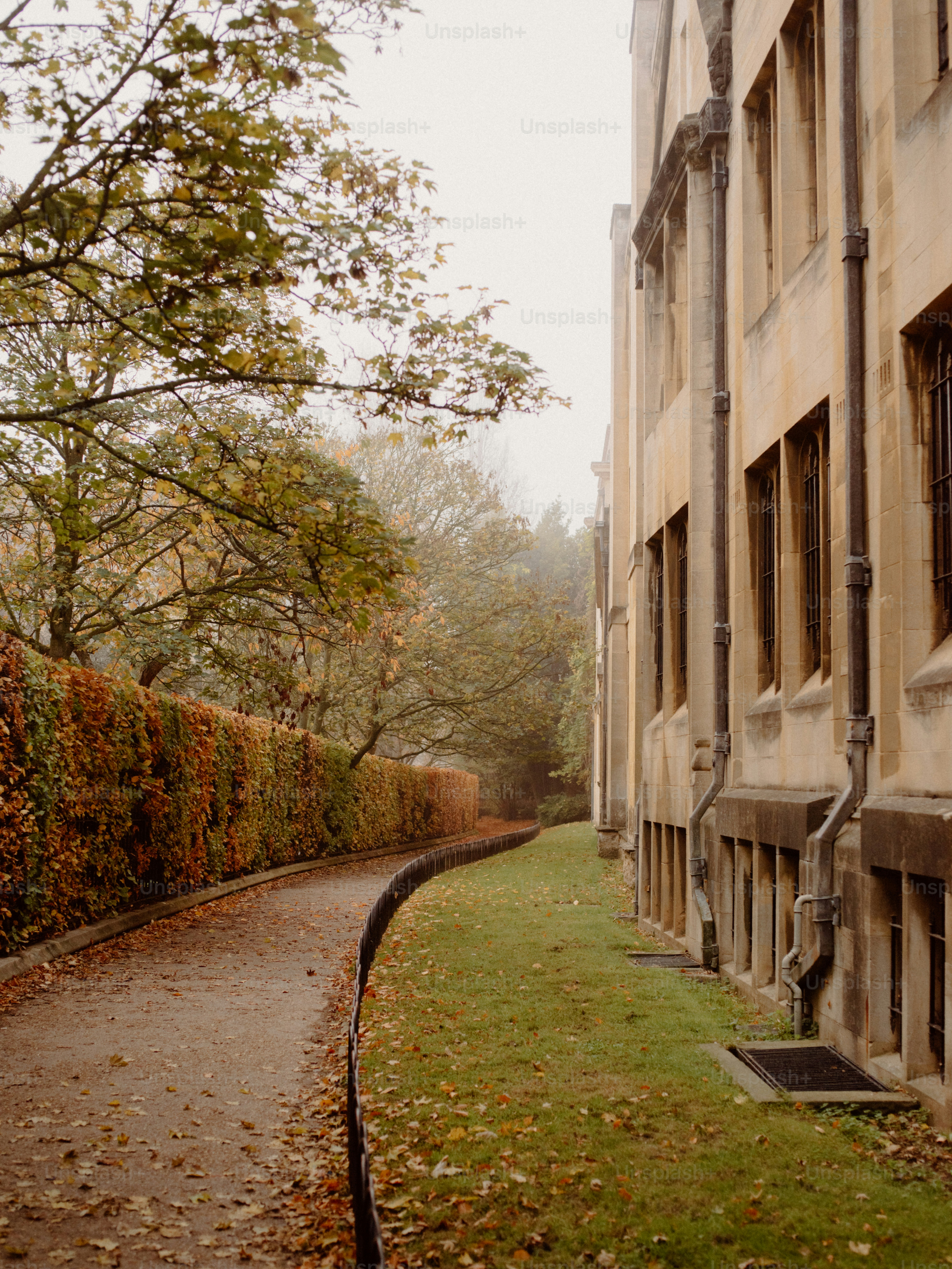 Sendero otoñal junto a un edificio con hiedra colorida