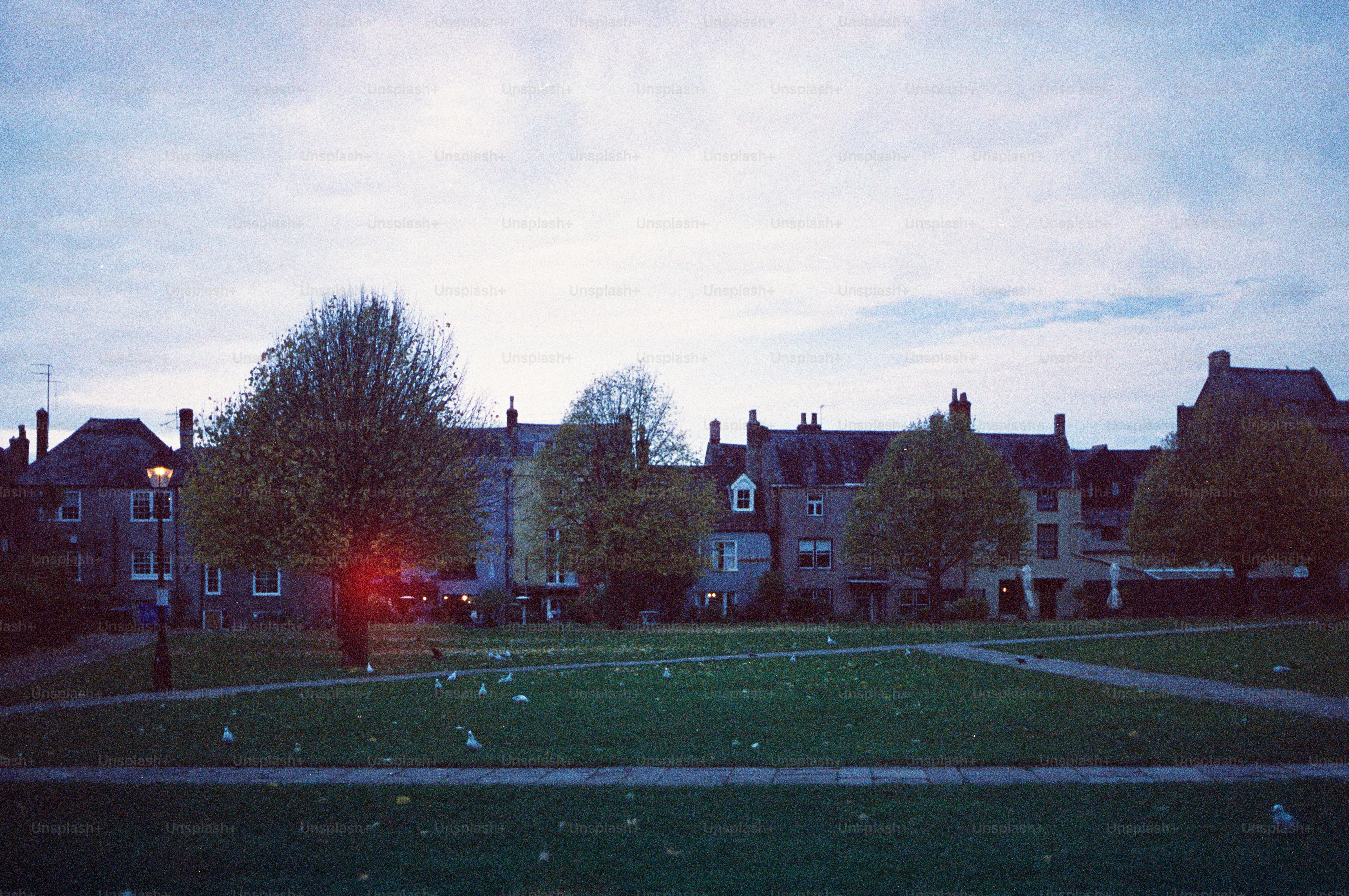 Row of houses behind a grassy park