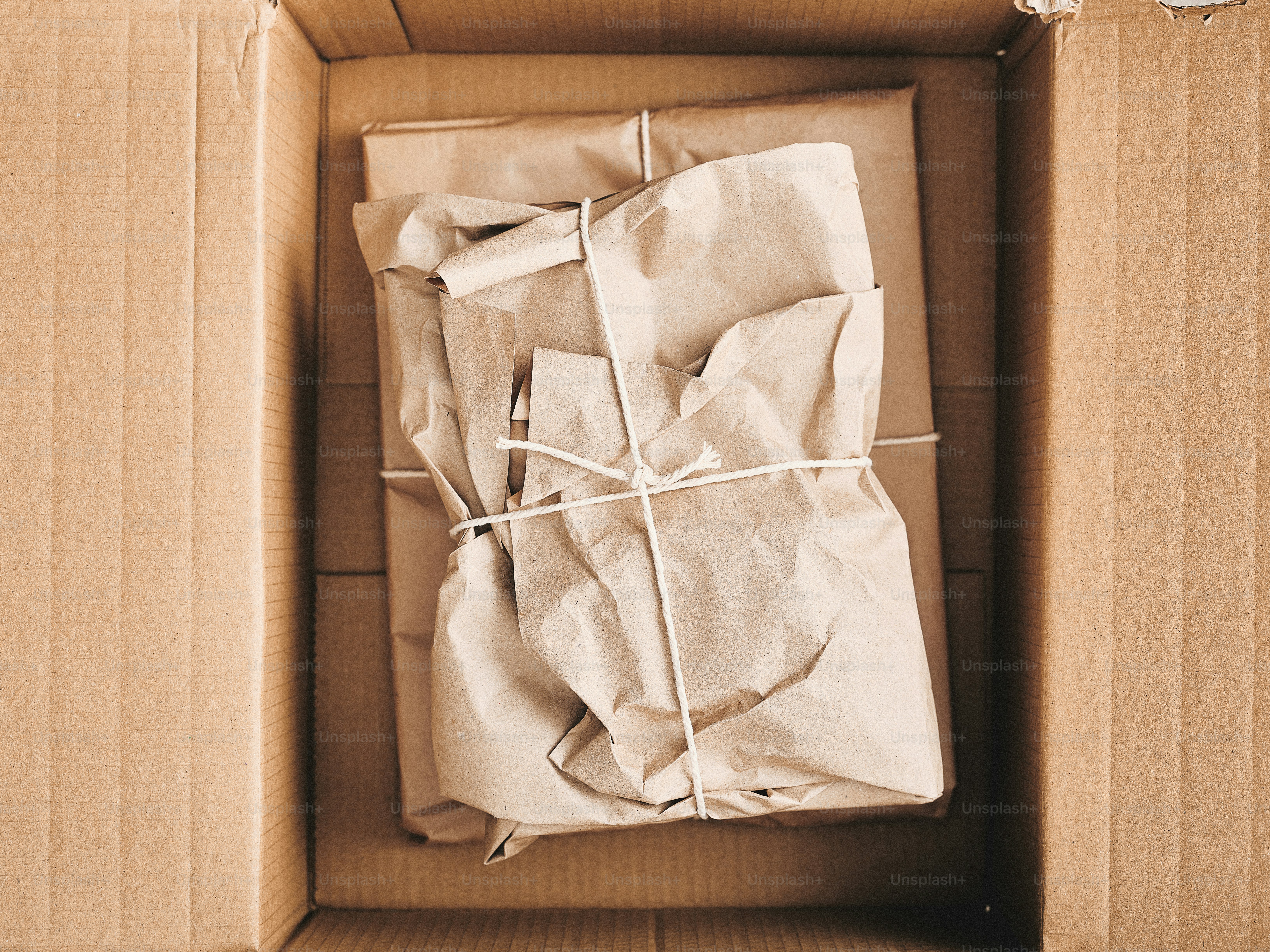 premium_photo-1763400136828-4be28f4f1766