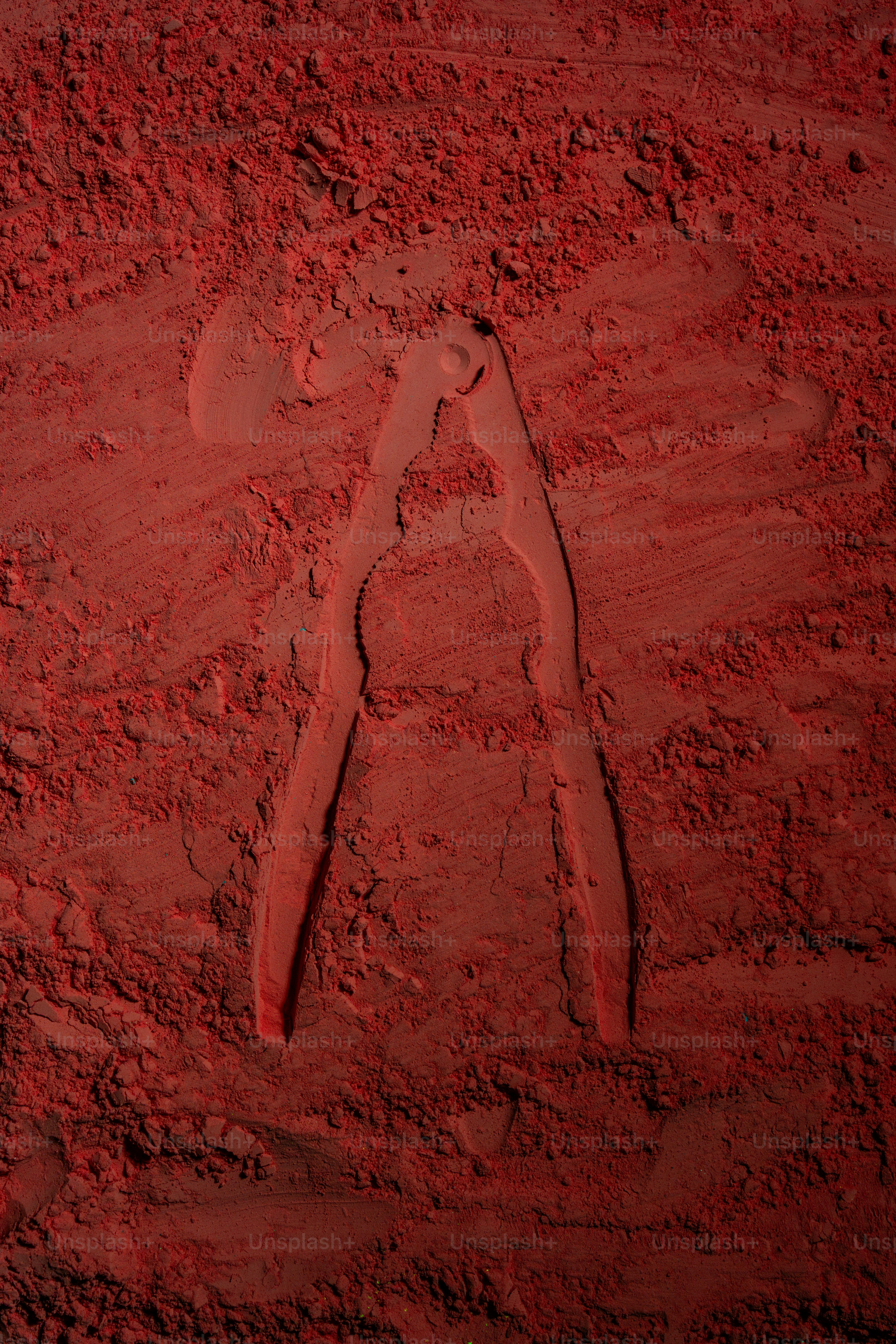 Nutcracker pressed into red powder