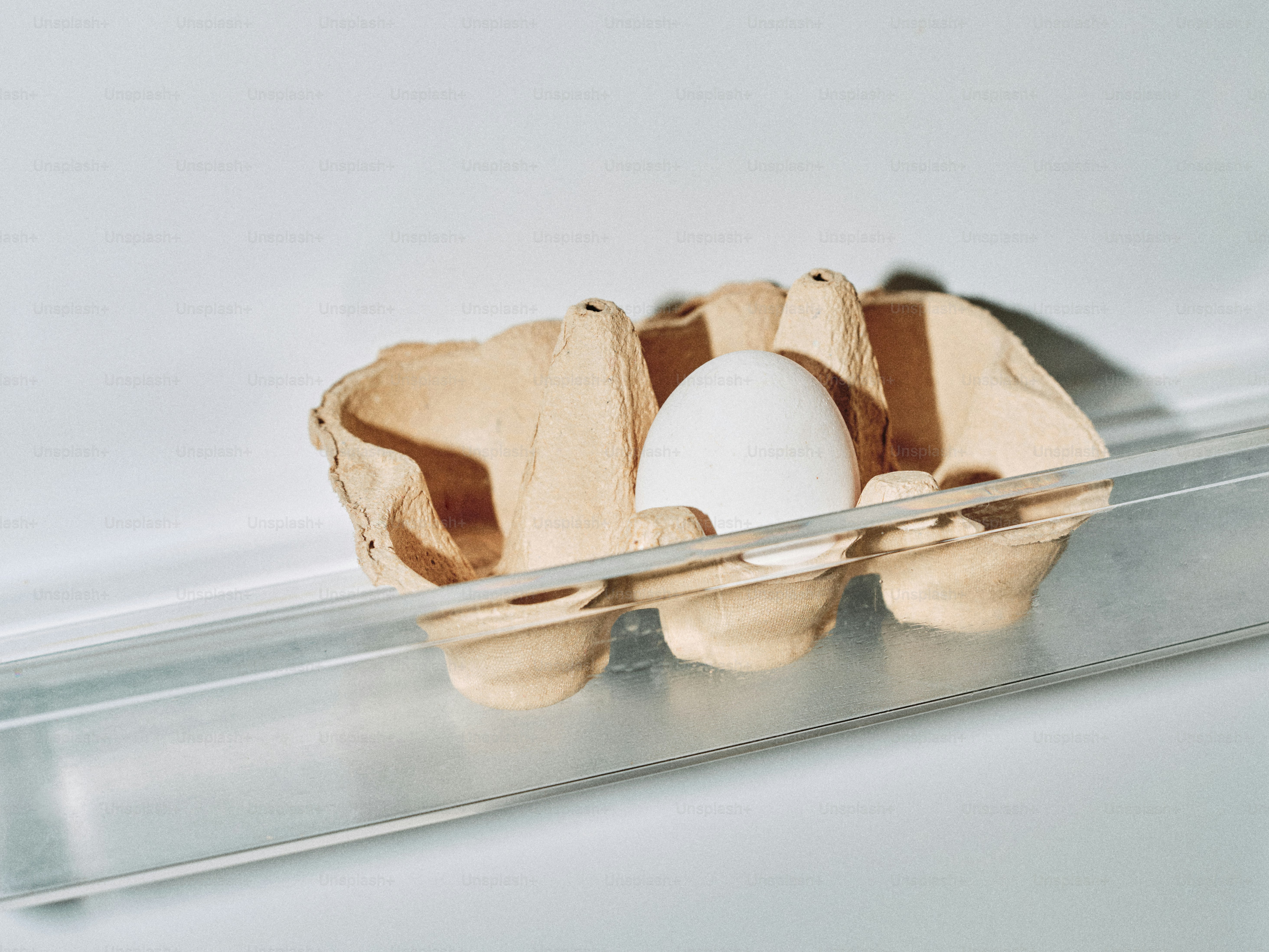 A single white egg in a carton.