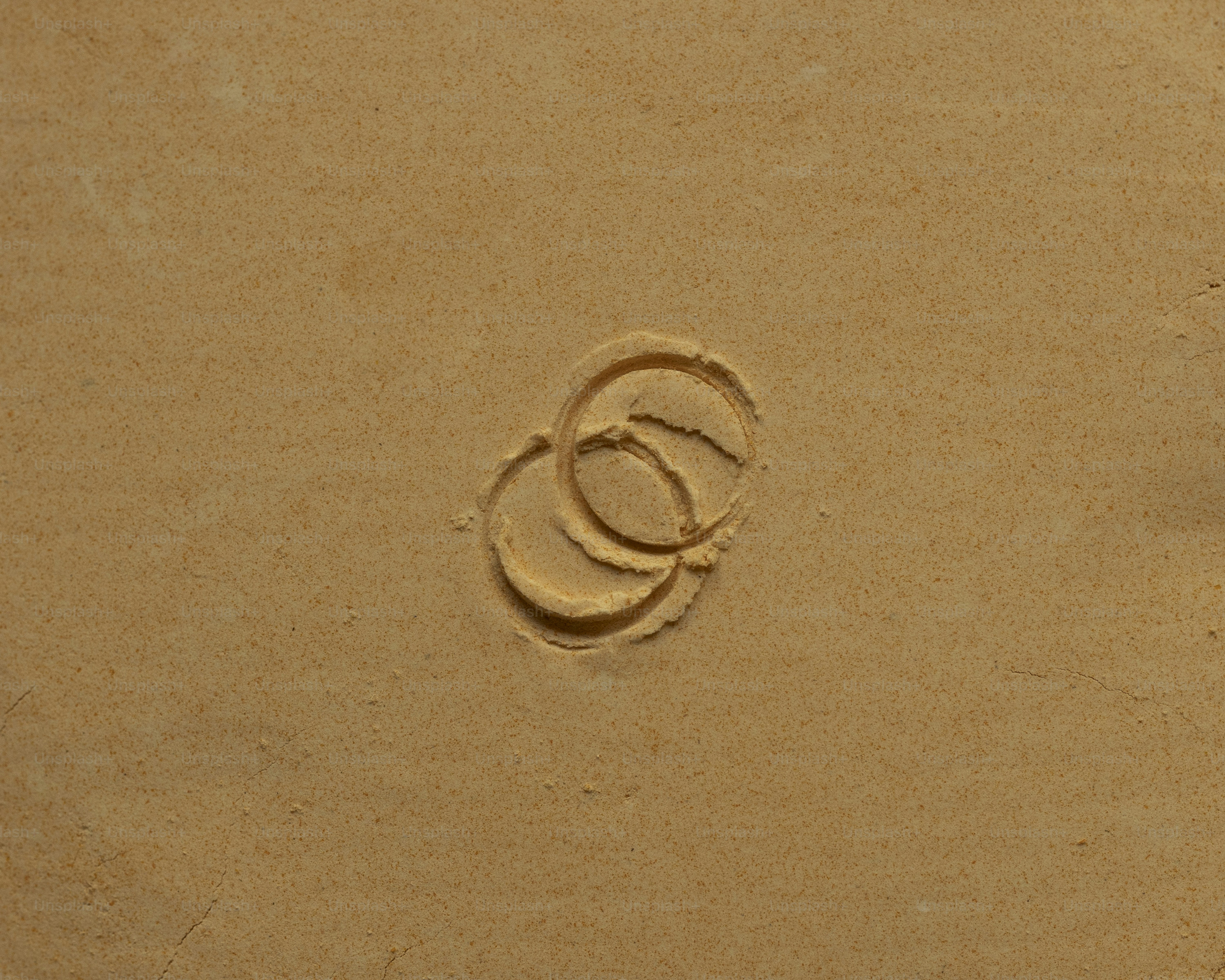 premium_photo-1763666810187-c5b83b3d20b4