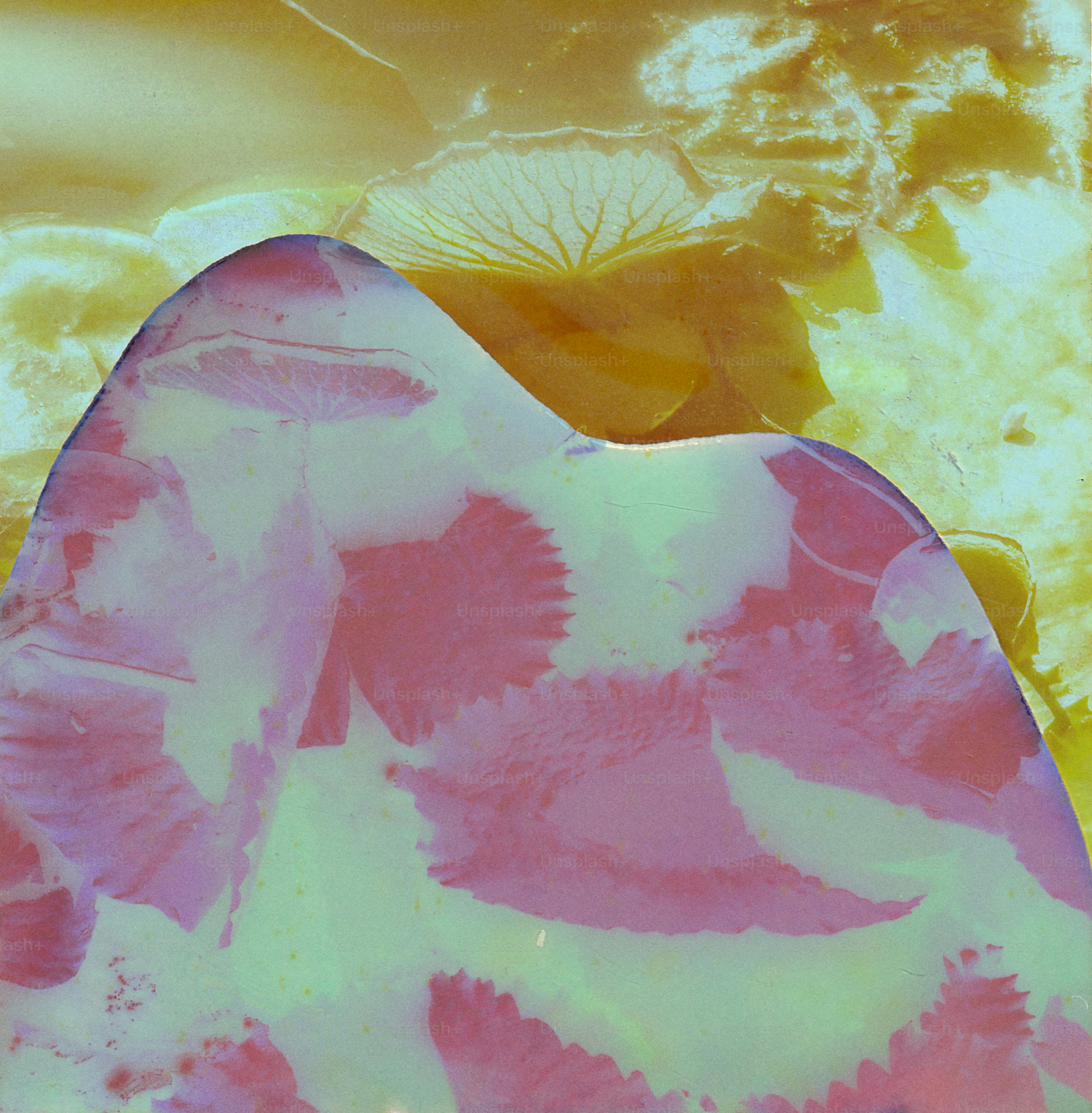 Abstract pink and yellow organic shapes with crystalline patterns