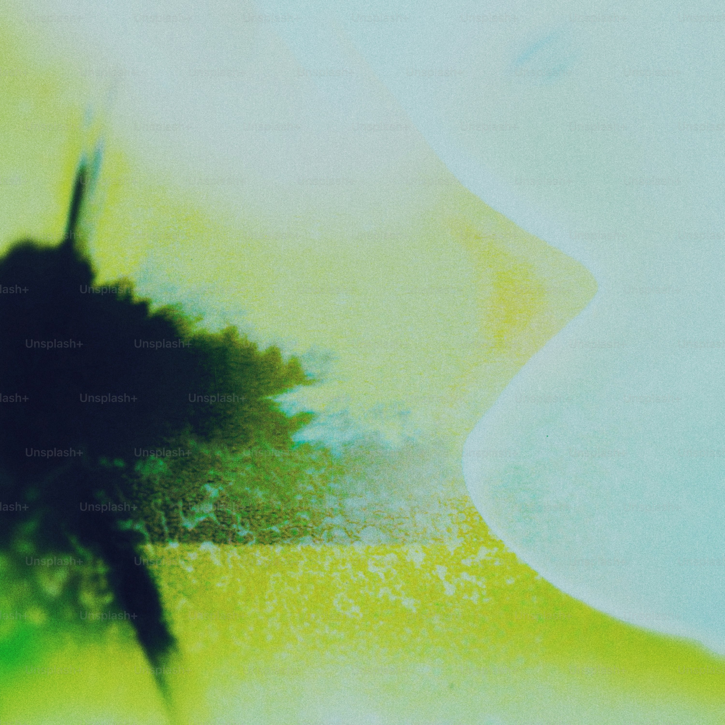 Abstract close-up of dark and green textures