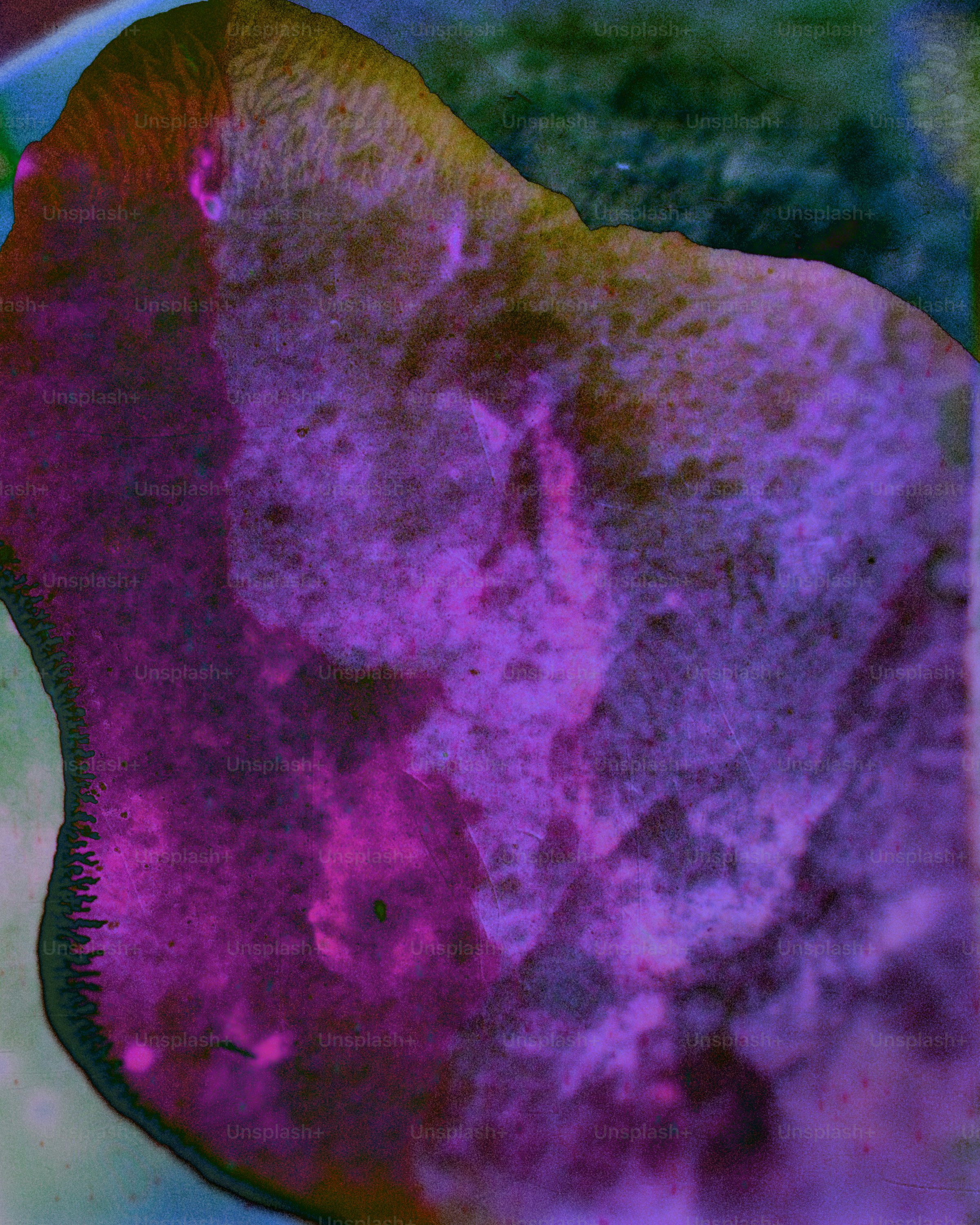 Abstract pattern with purple and white swirls