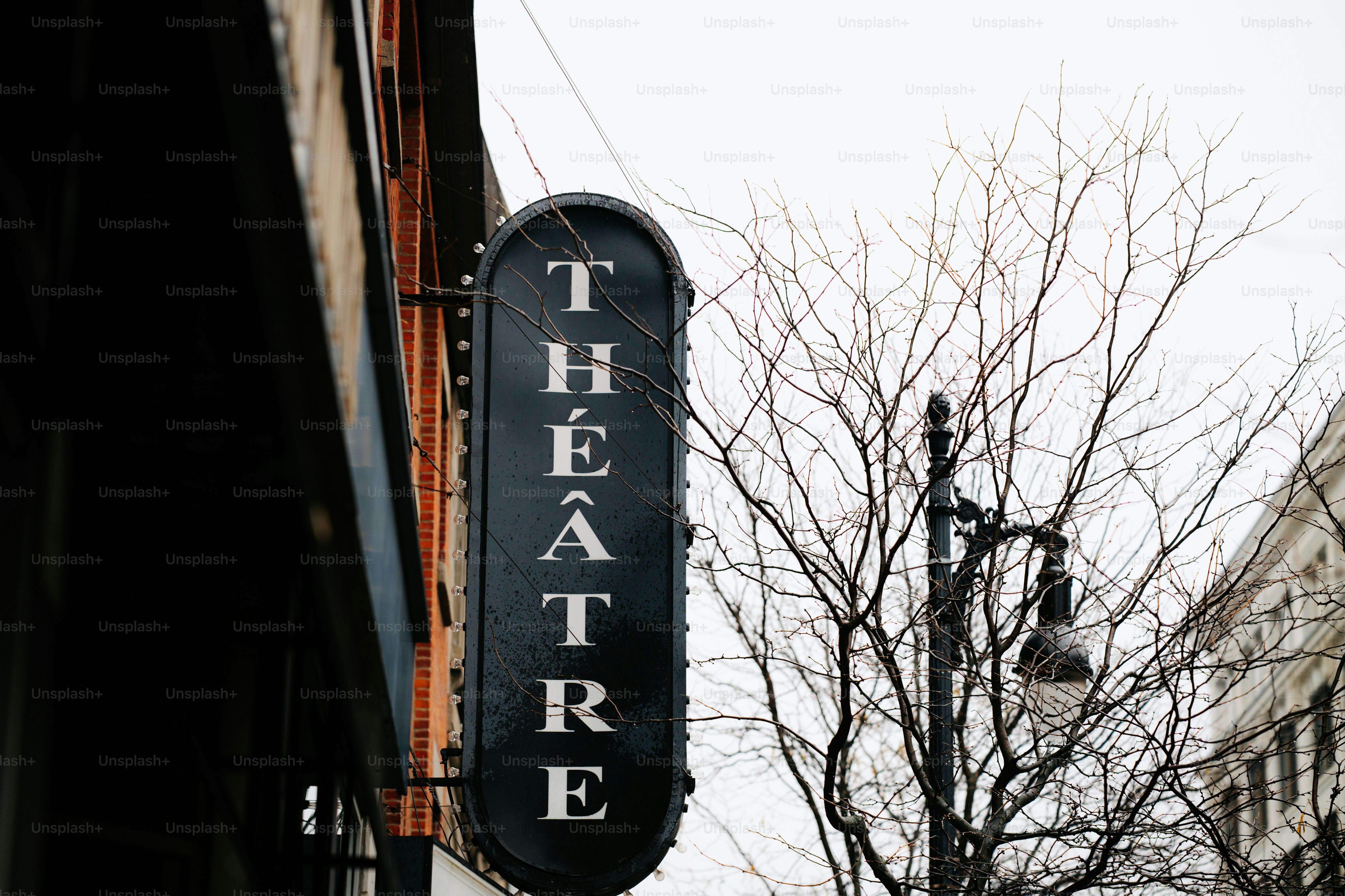 A vintage theatre sign hangs outside a building.