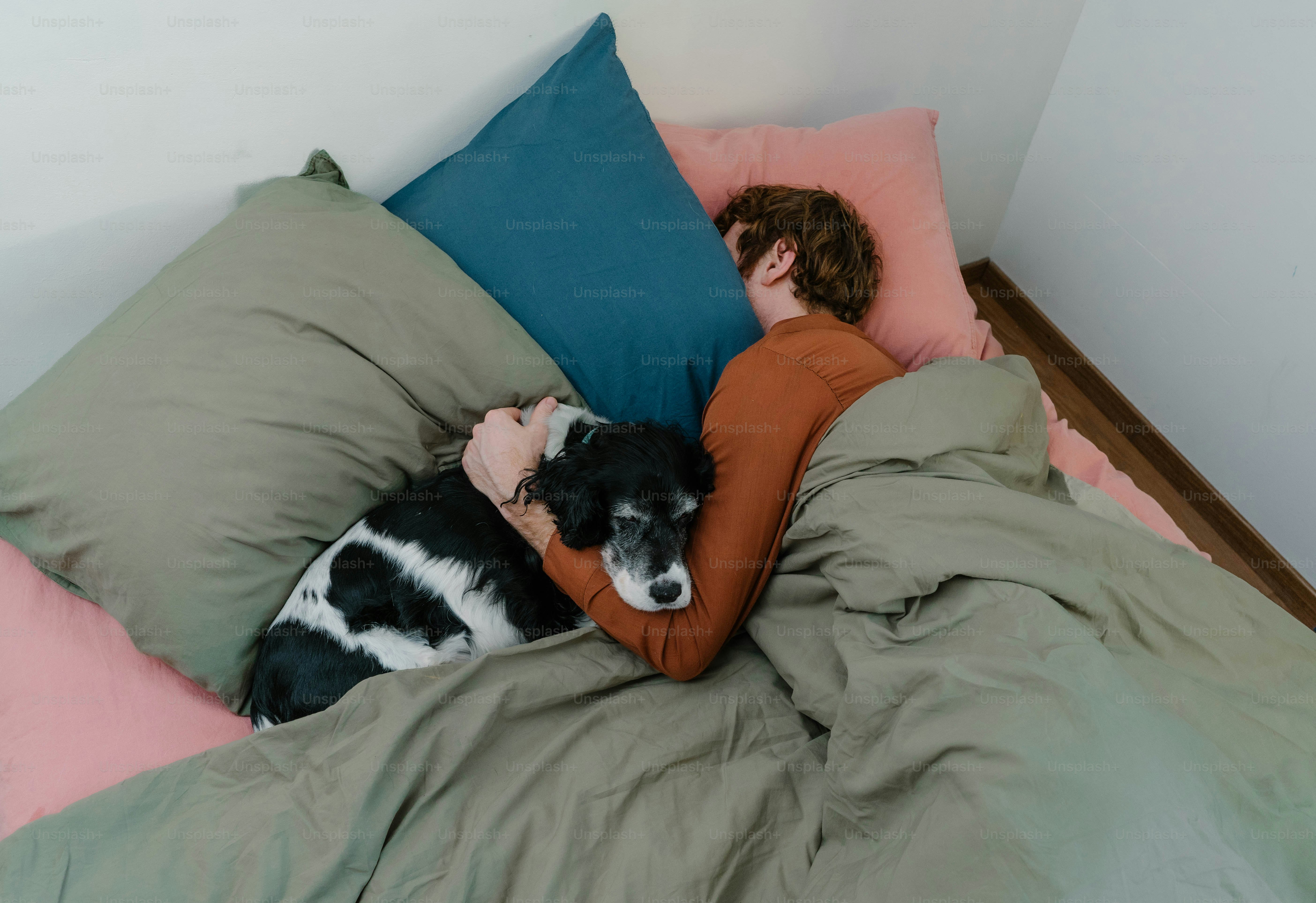 Person and dog sleeping together in bed.