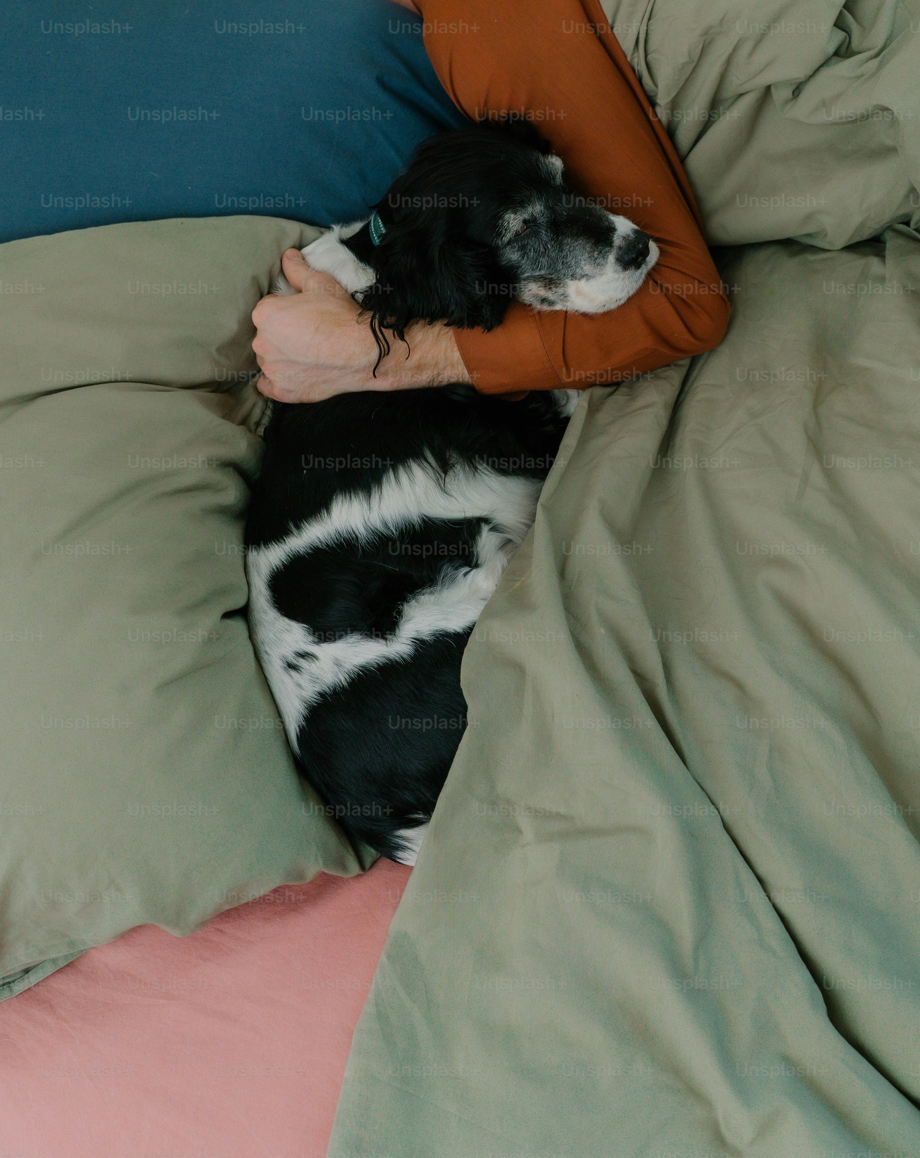 A person hugging a dog in bed.