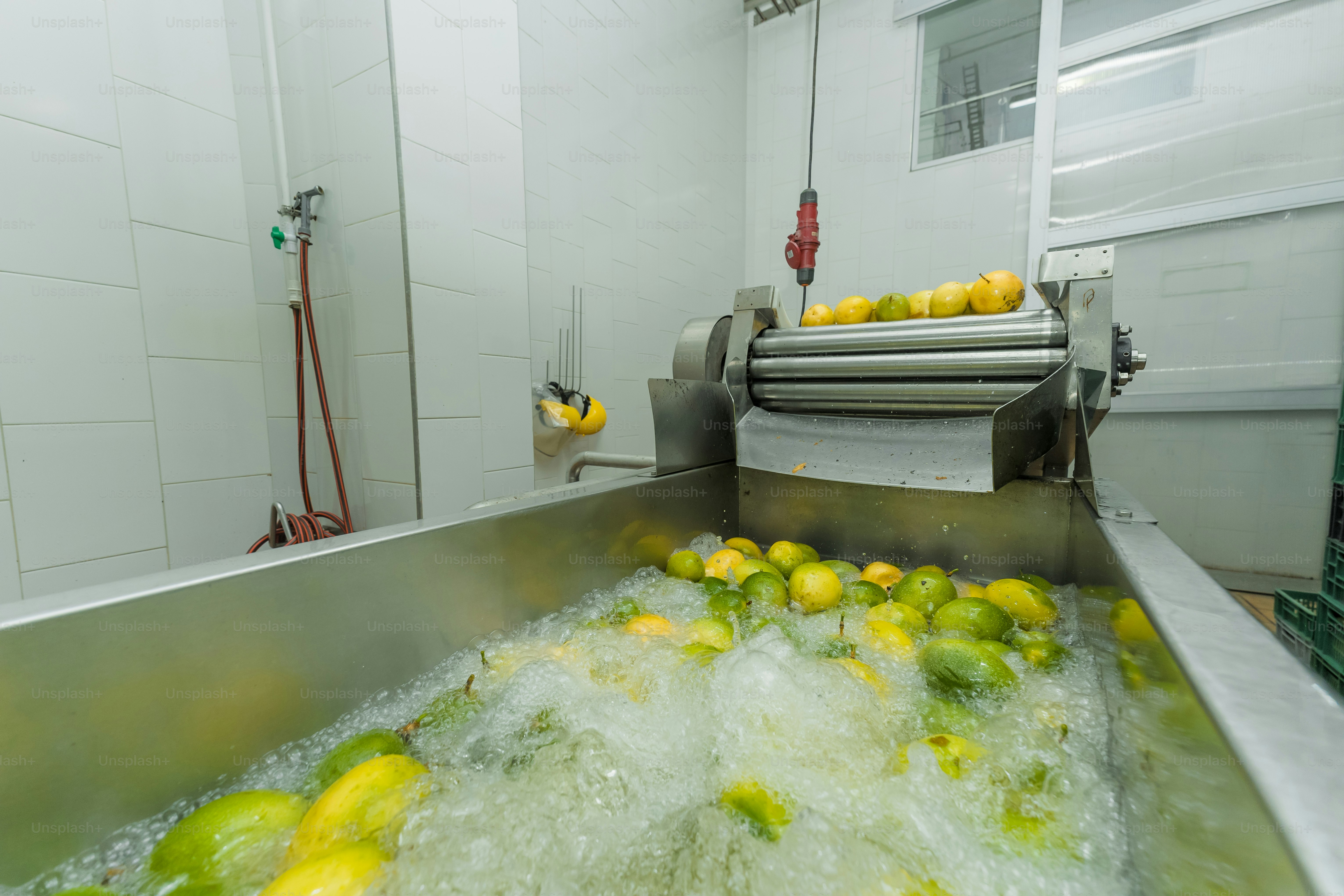 Limones y limas lavados en maquinaria industrial.