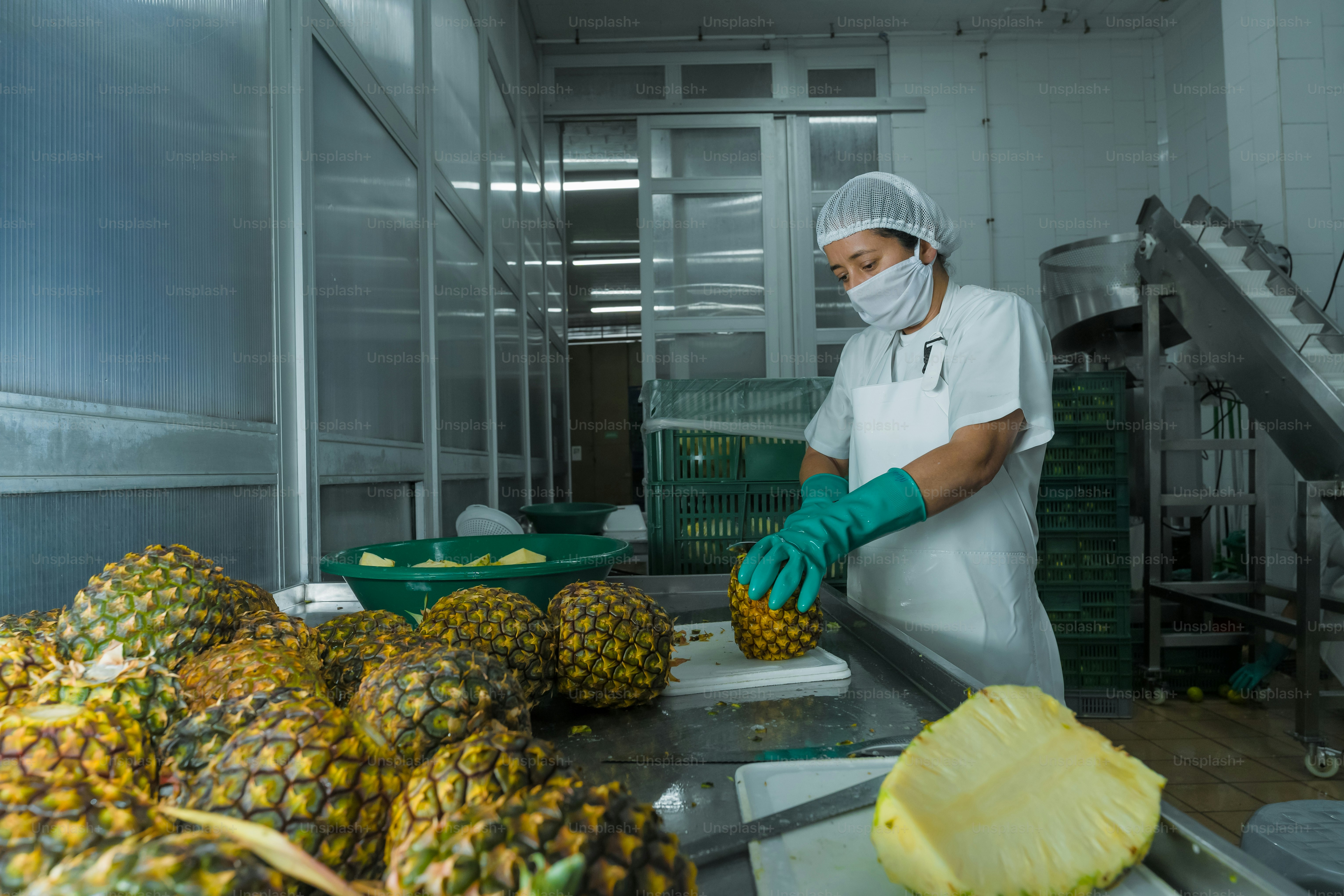 Worker preparing pineapples in a food processing facility photo ...