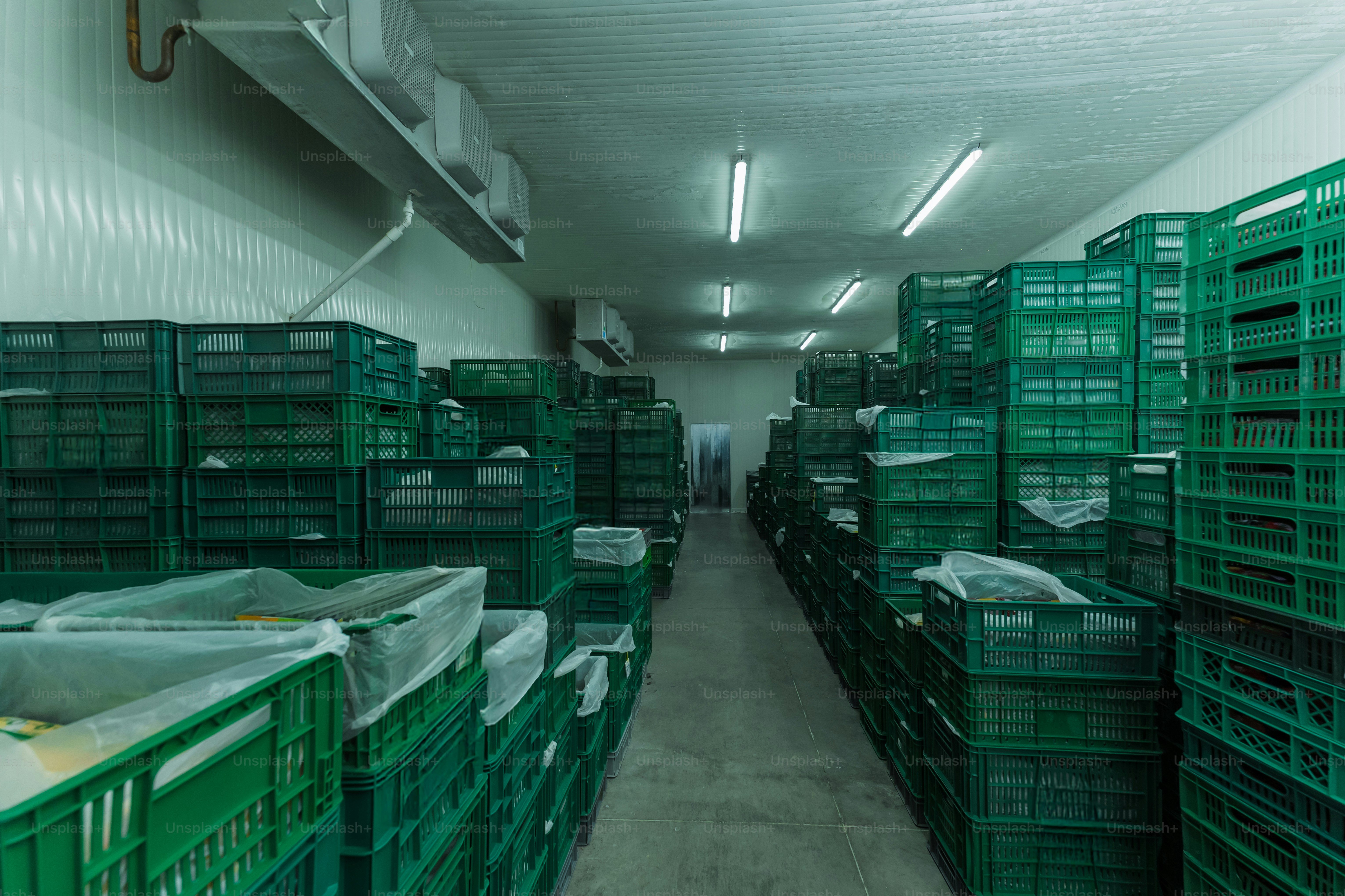Kühlraum voller grüner Kisten, die hoch gestapelt sind