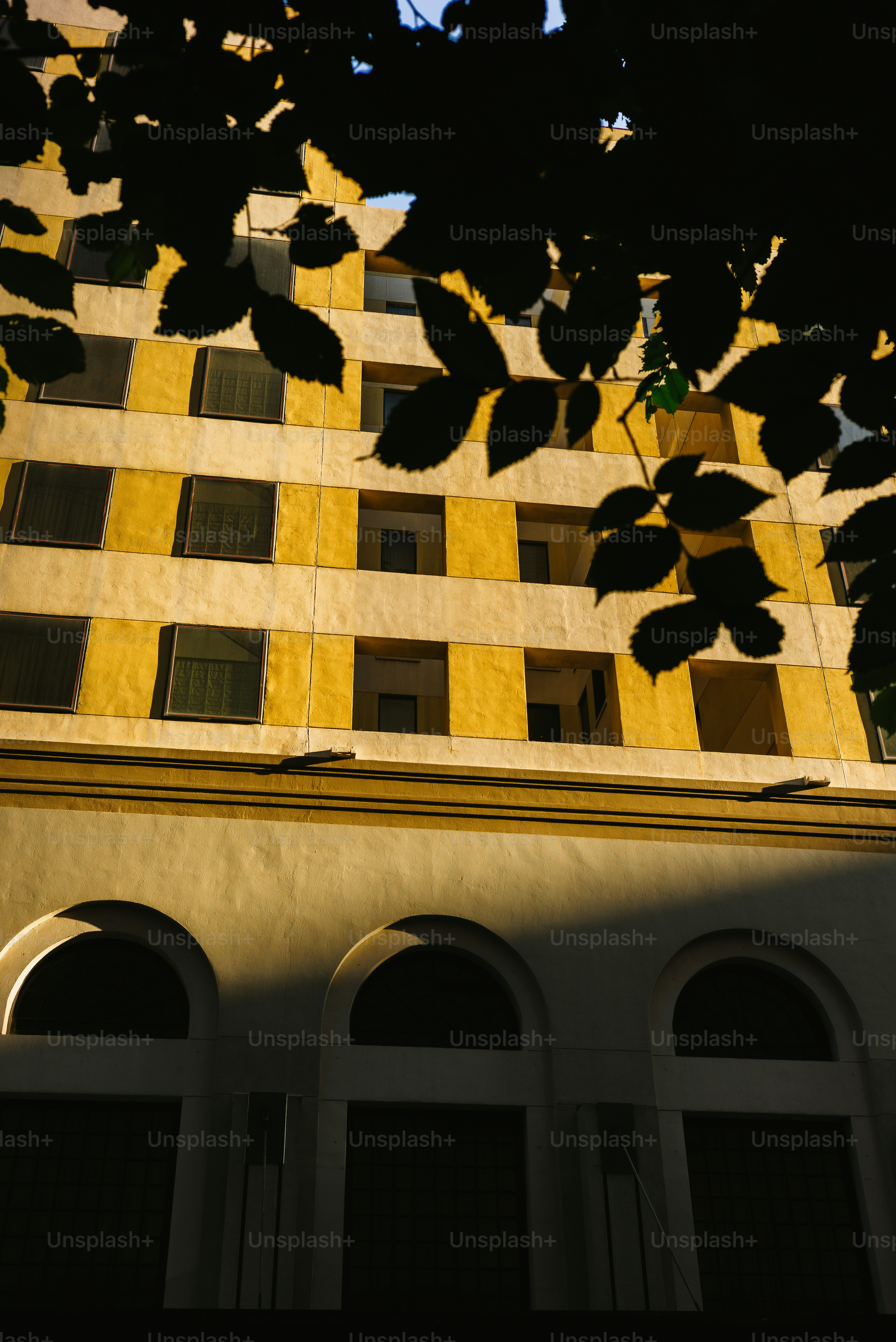 Yellow building facade with arched windows and leaves. photo – Building ...