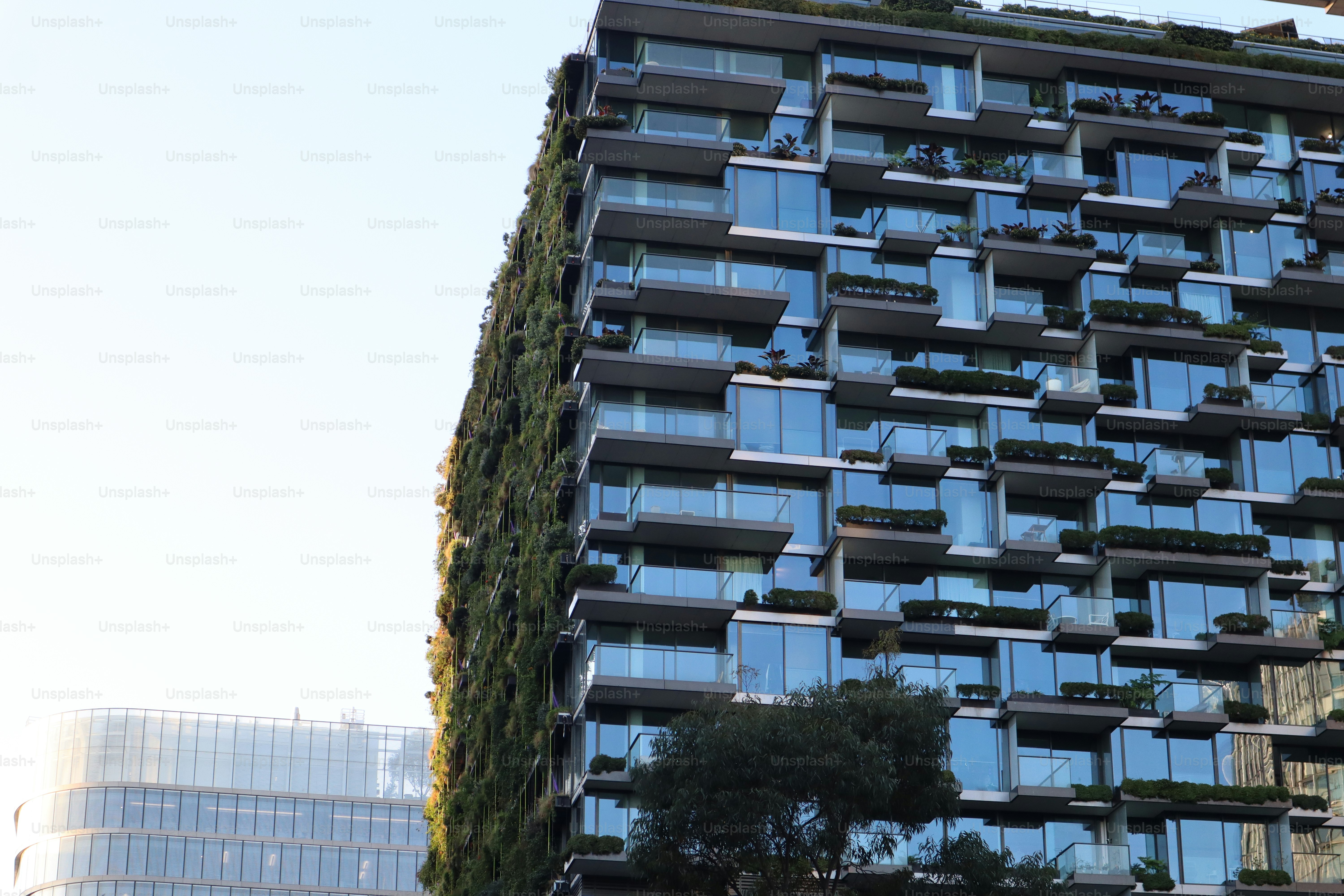 Modern building with balconies and green vertical garden