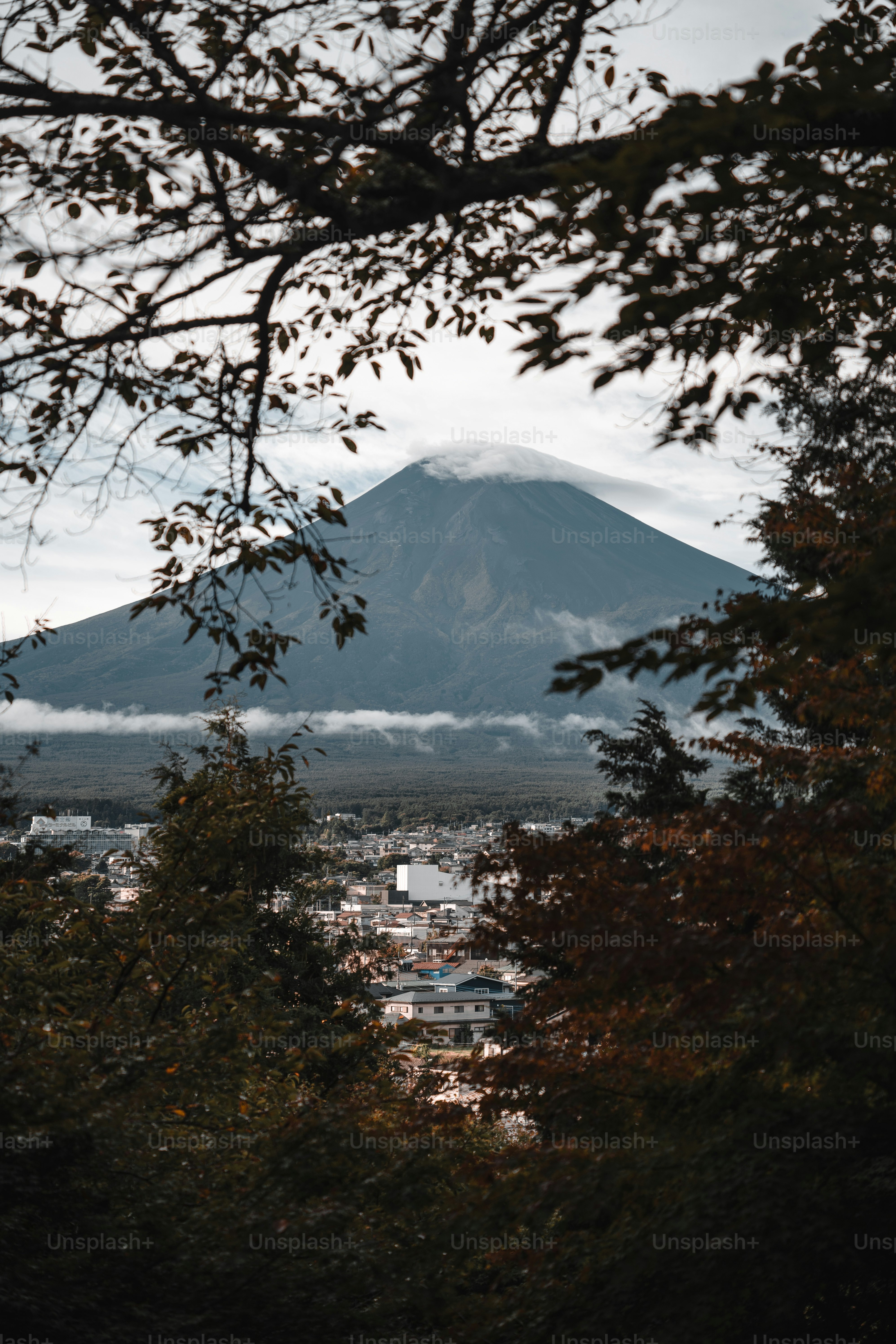 Majestic mountain peak framed by autumn foliage
