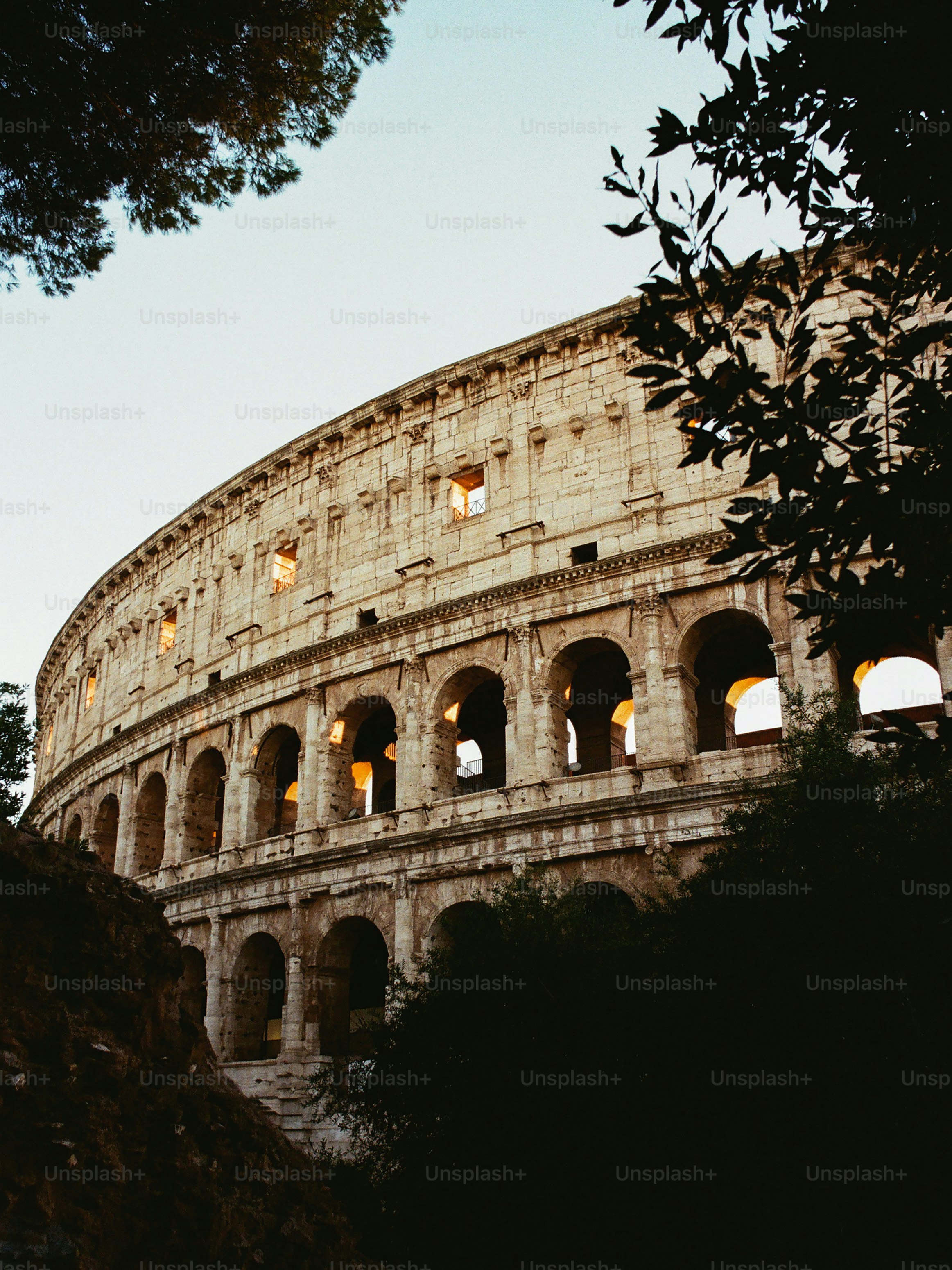 The colosseum in rome framed by trees