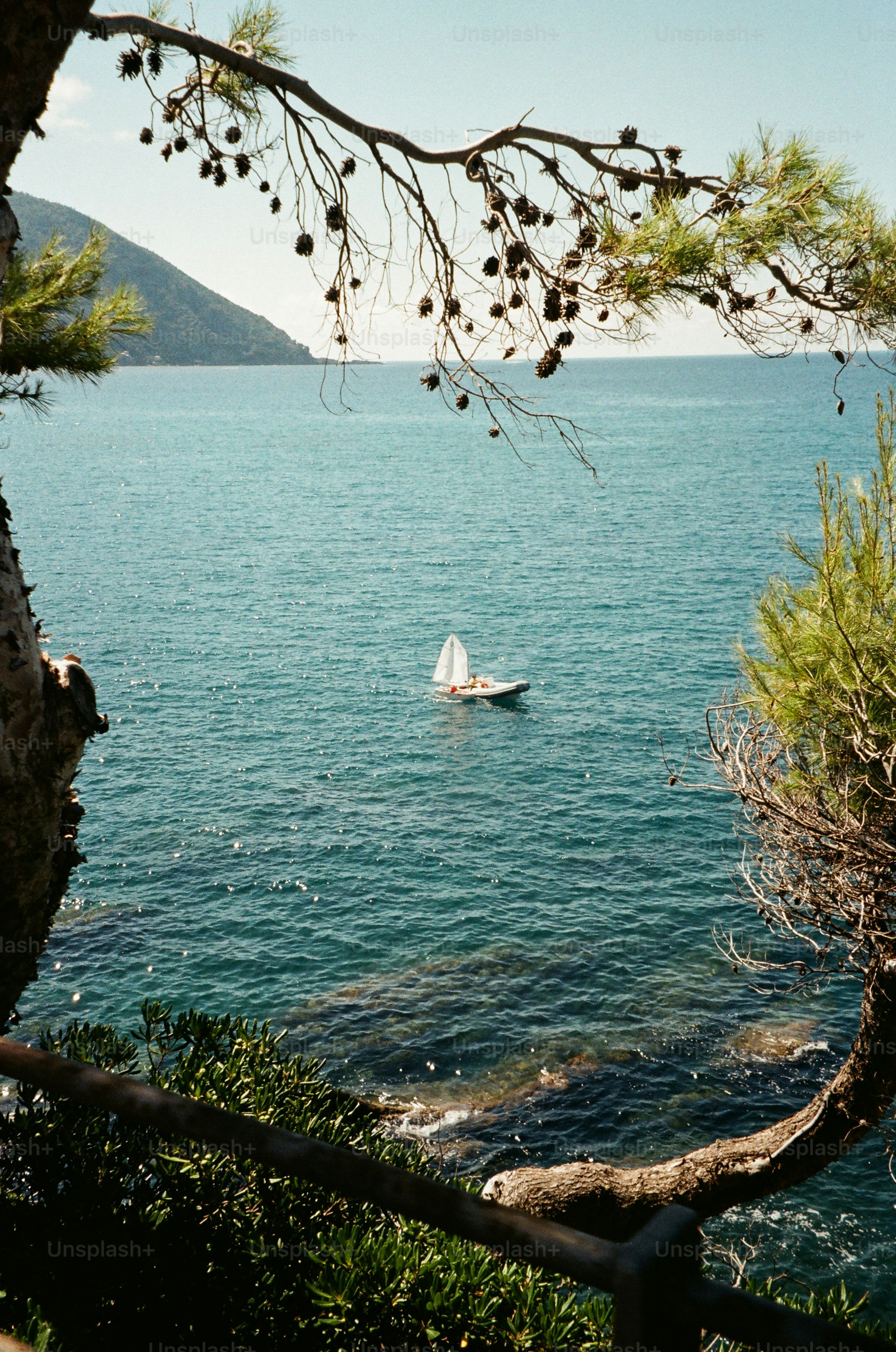 Sailboat on the turquoise sea framed by trees