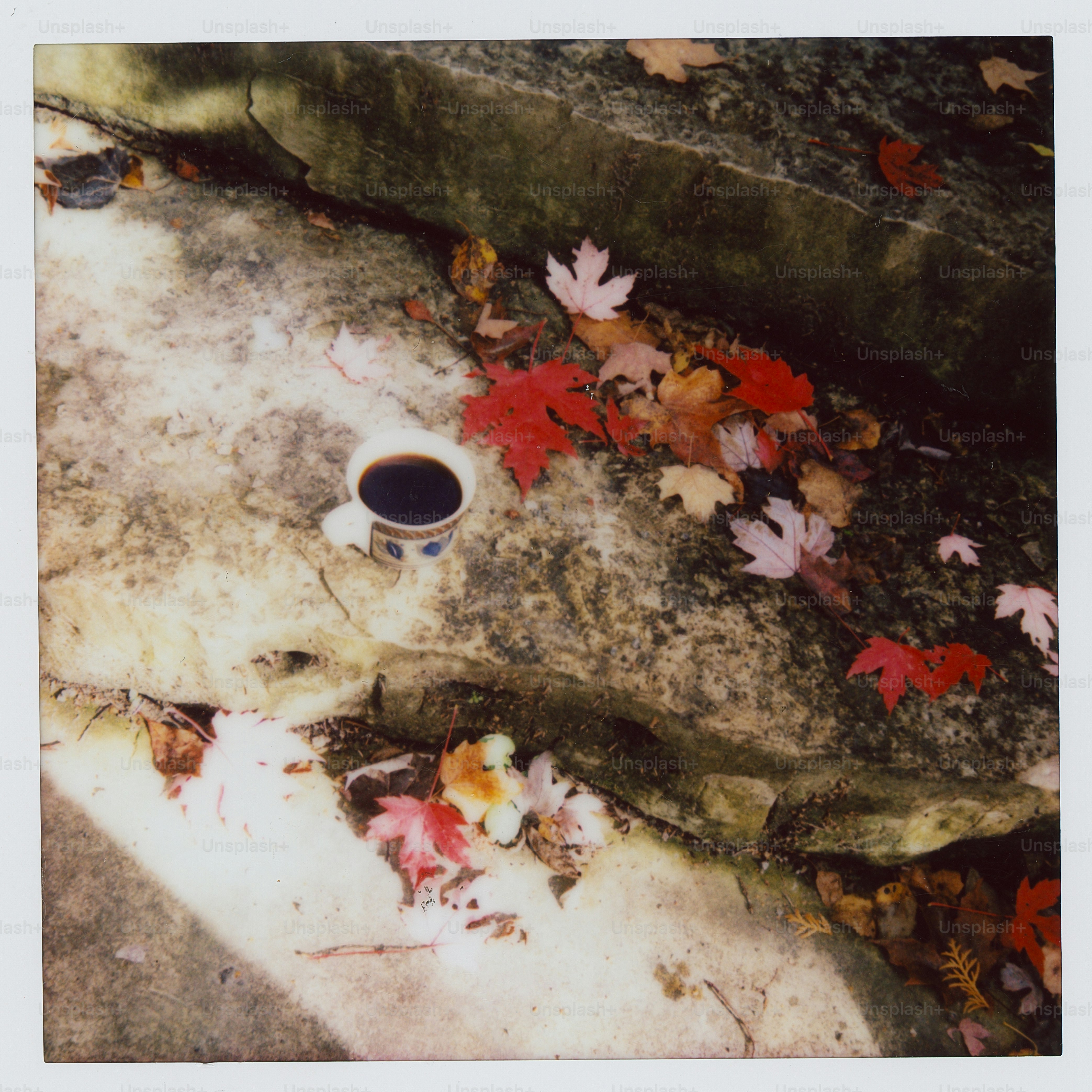 Cup of coffee among autumn leaves on rocks.