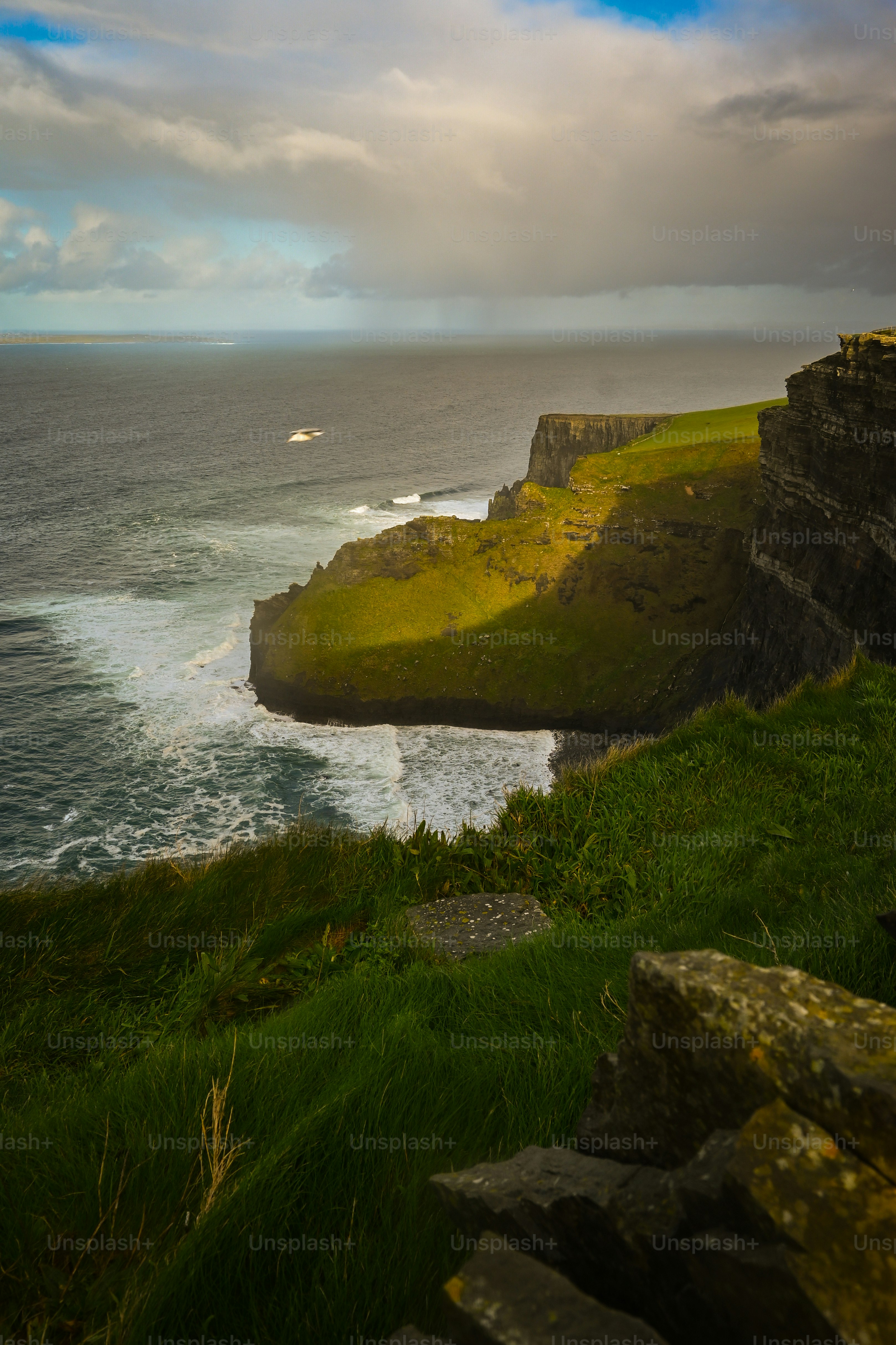 海を見下ろす劇的な崖と緑の草原。