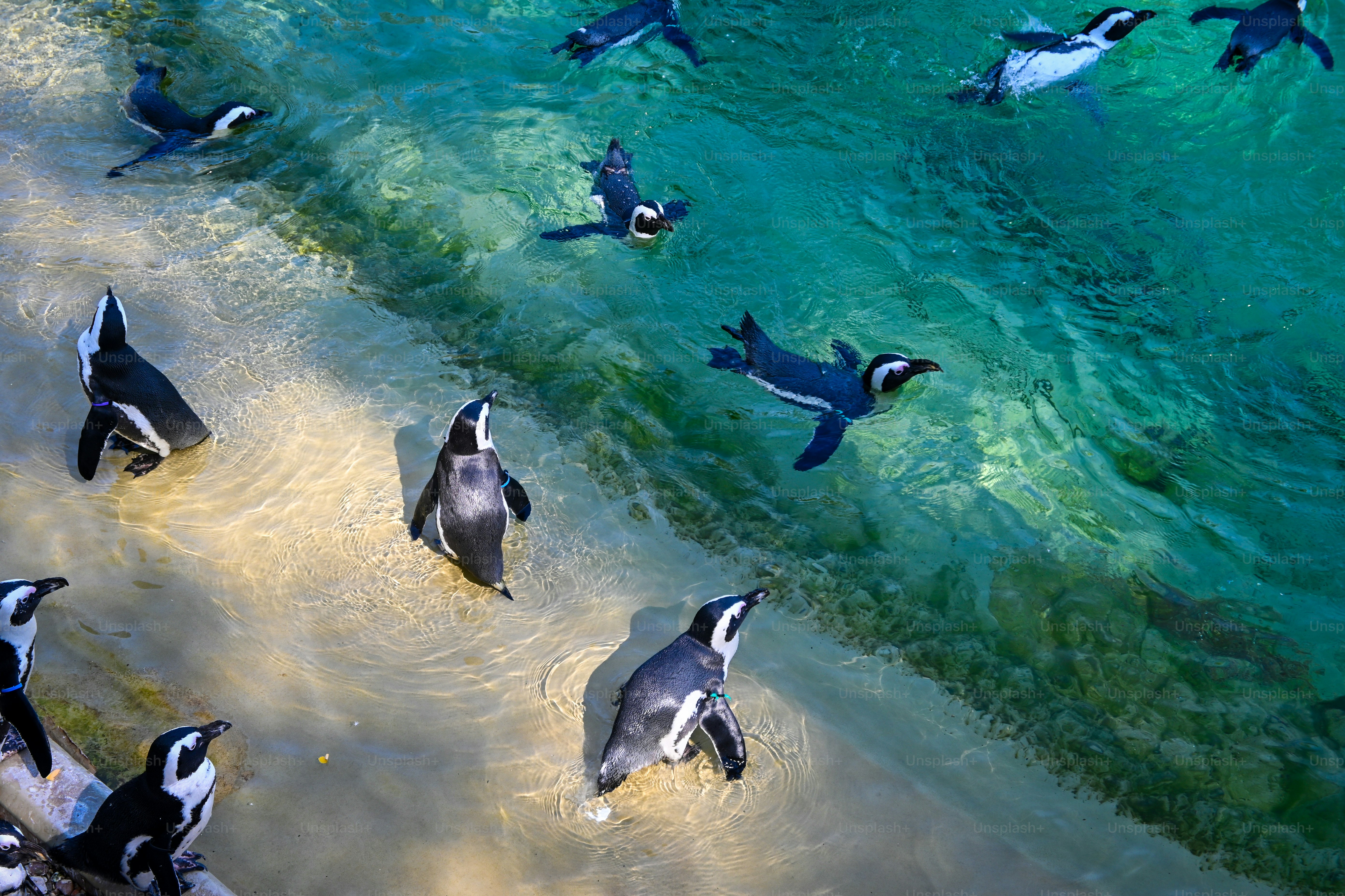 Nature and wildlife representing conservation experiences
