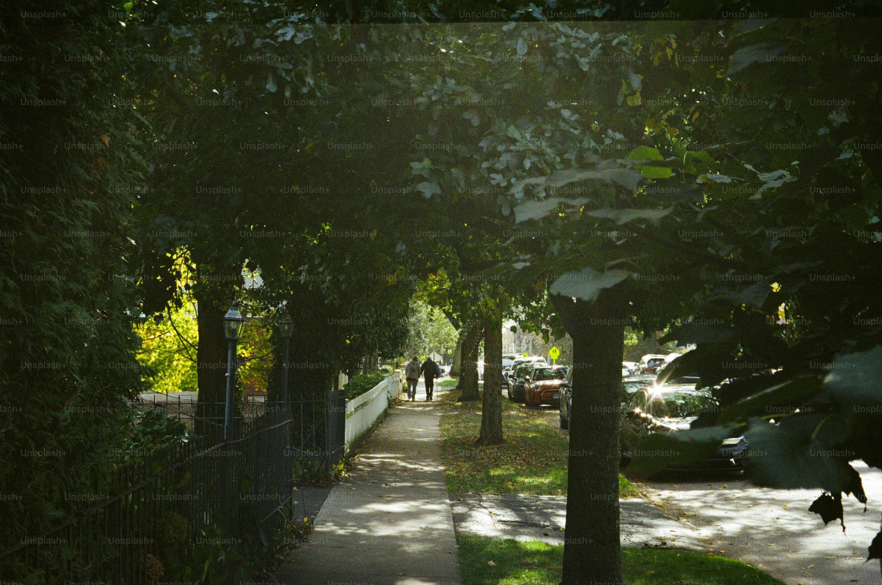 People walking on a tree-lined sidewalk in autumn.