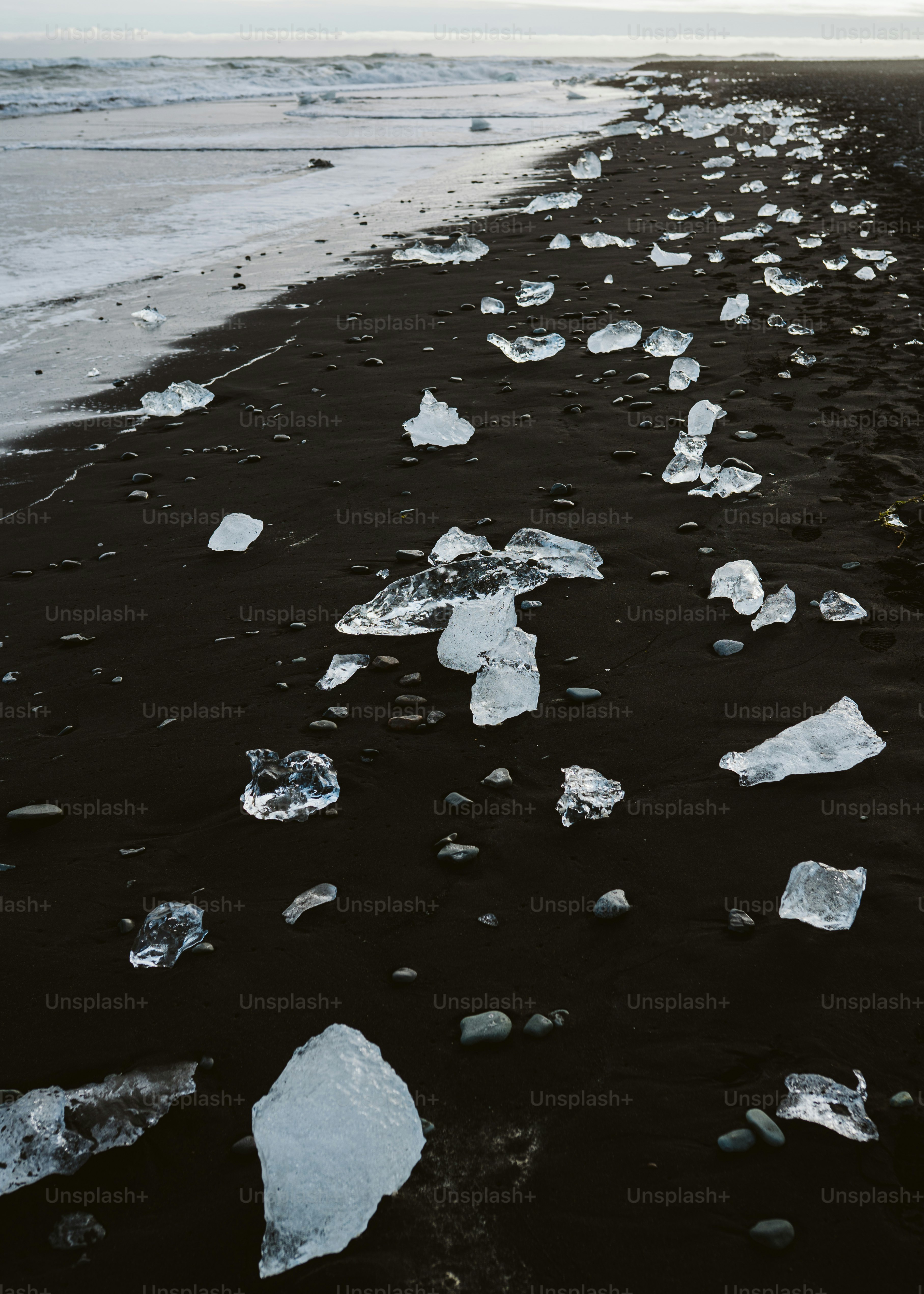 Ice chunks scattered on a black sand beach.