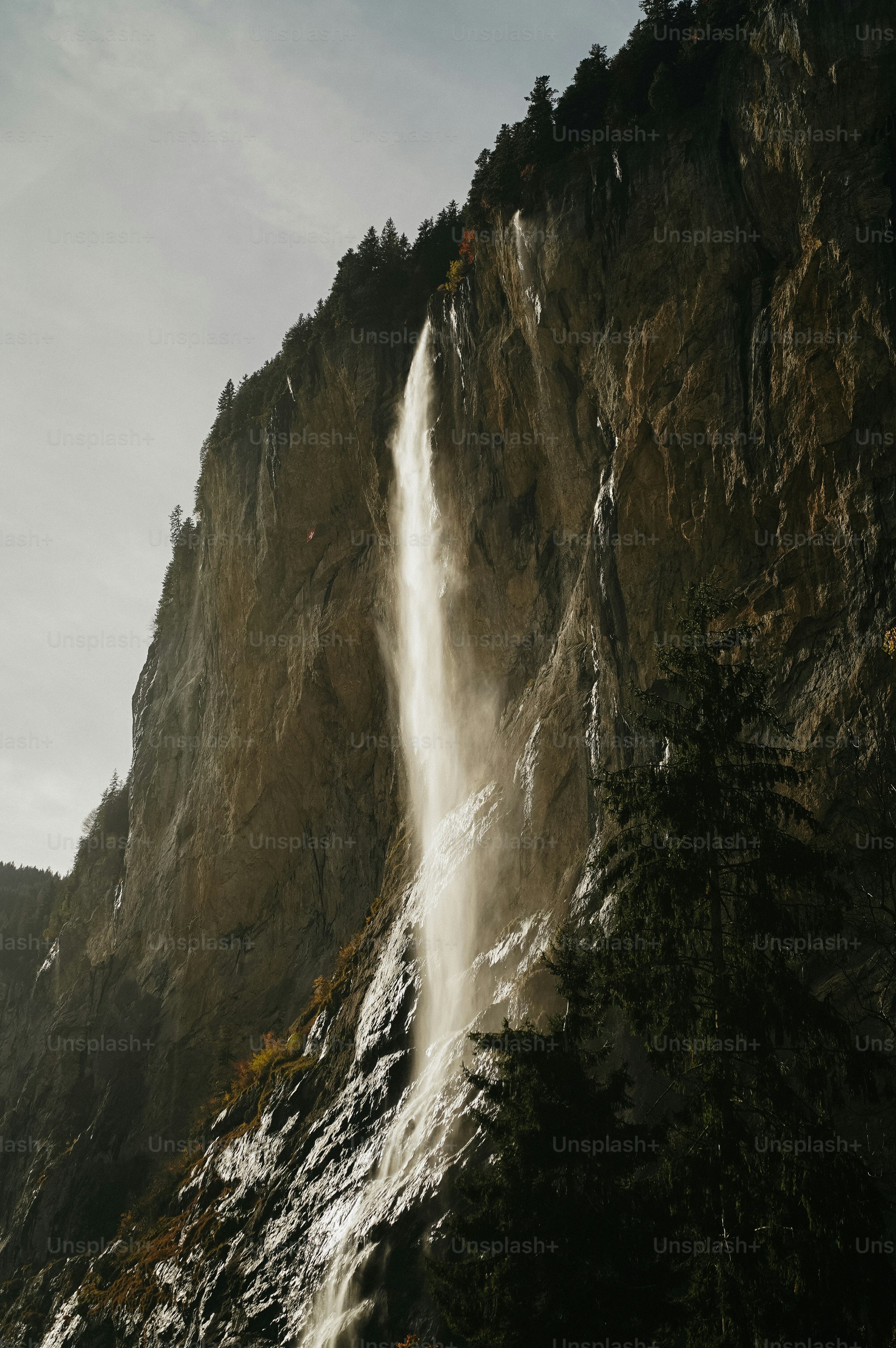 Une haute cascade dévalant une falaise rocheuse