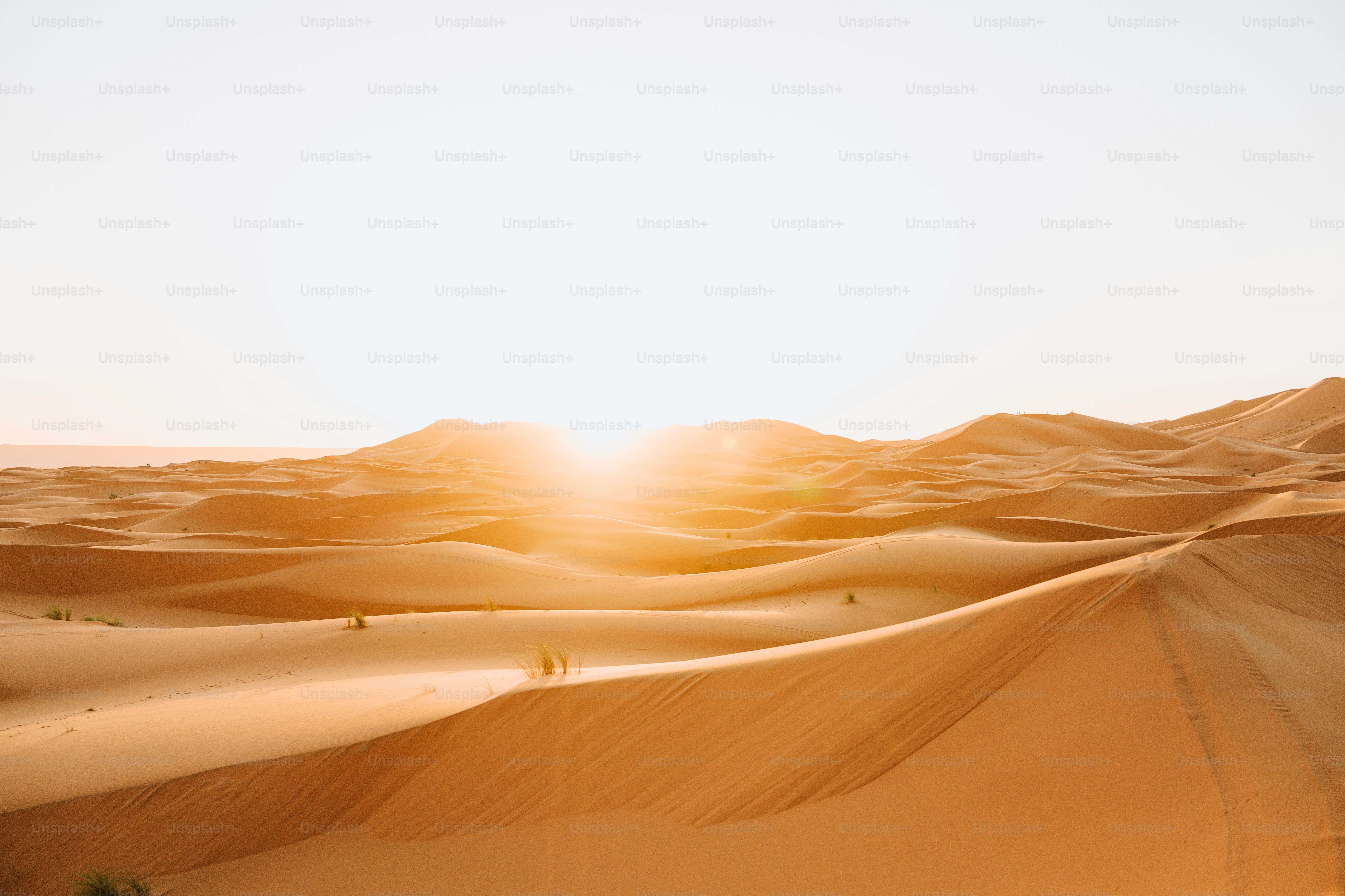 Sun setting over rolling sand dunes in the desert photo – Sunset Image ...