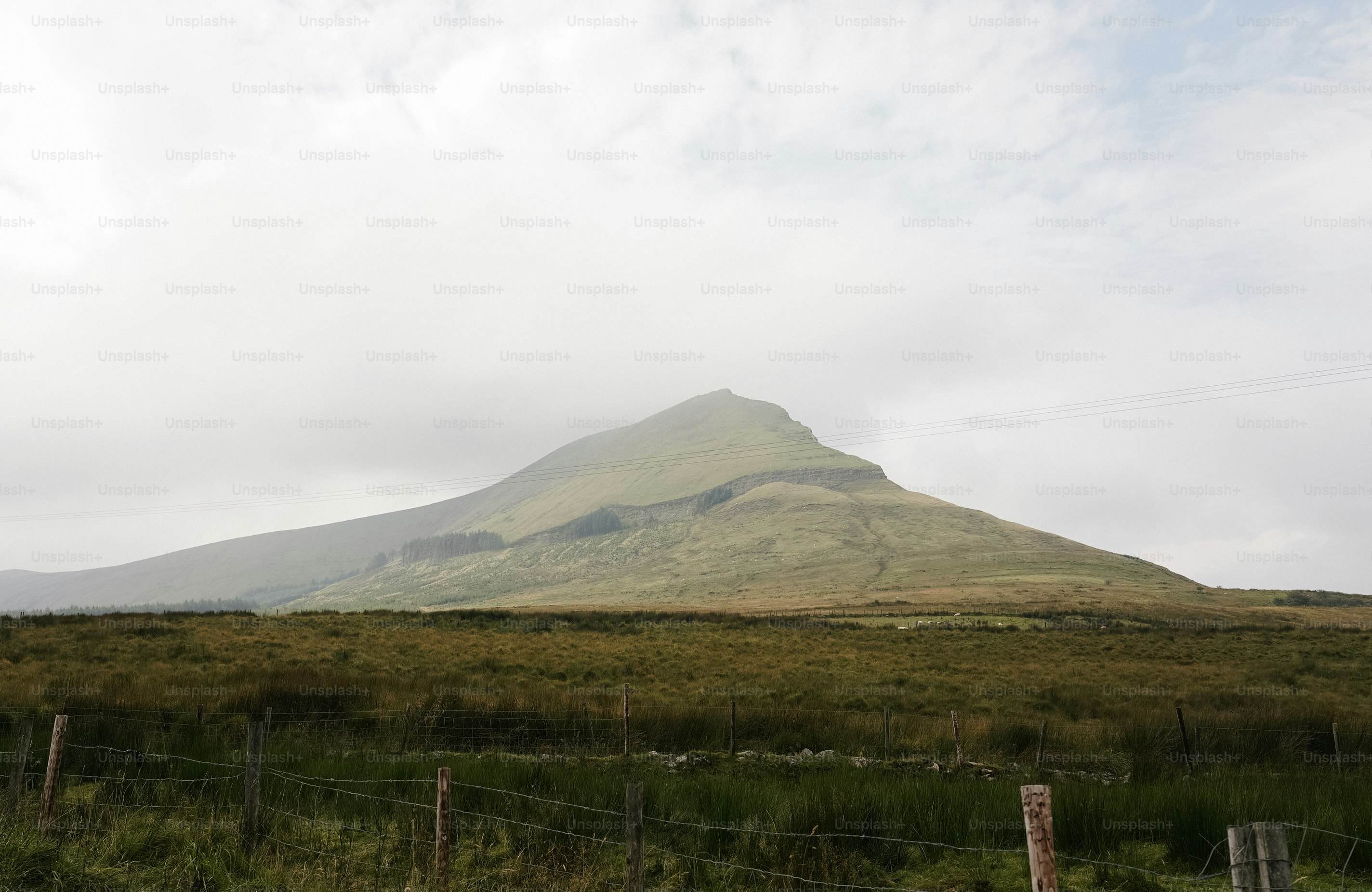 Un sommet de montagne isolé émerge du brouillard