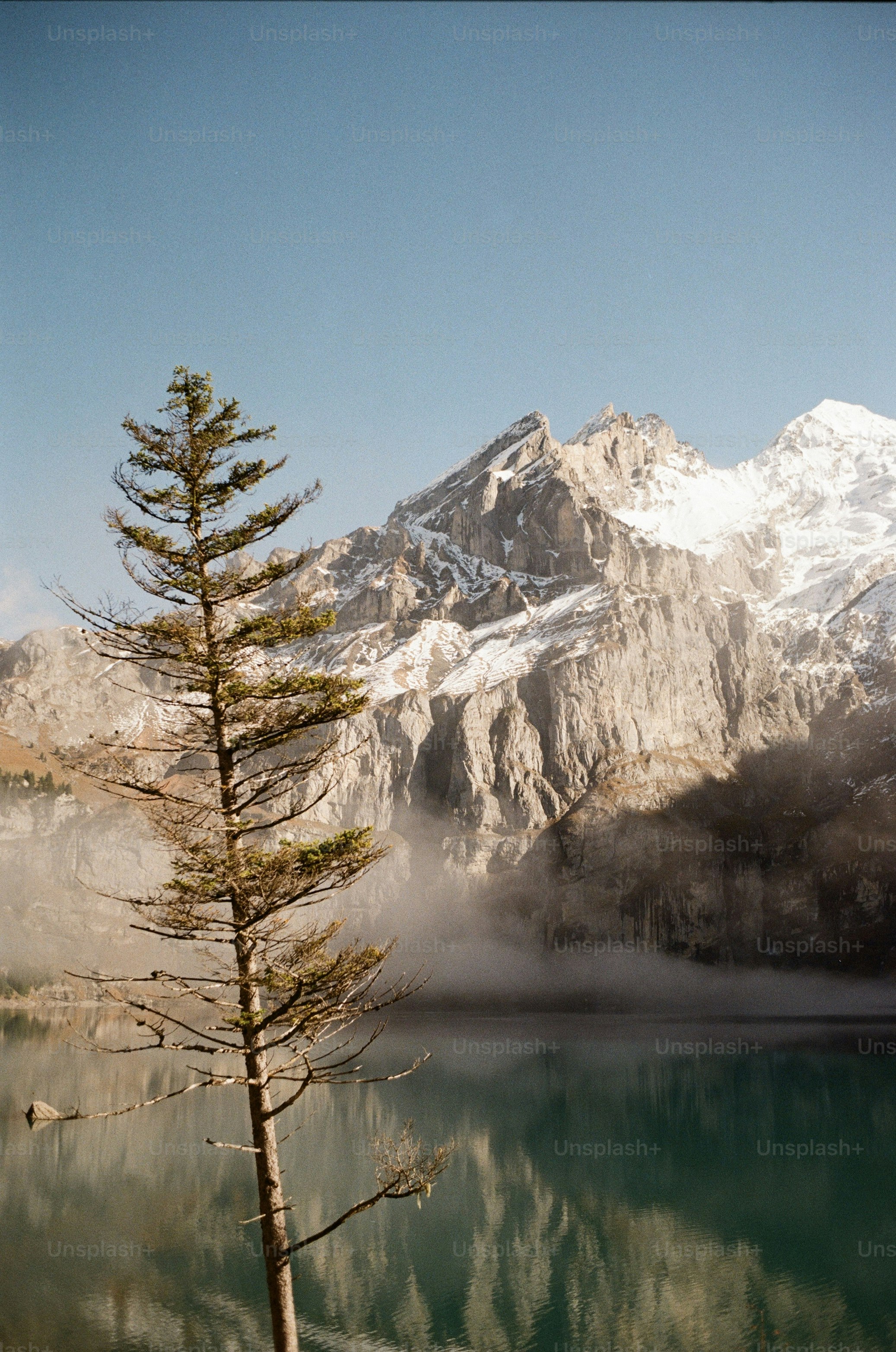 Le pin se reflète dans un lac calme avec des montagnes enneigées
