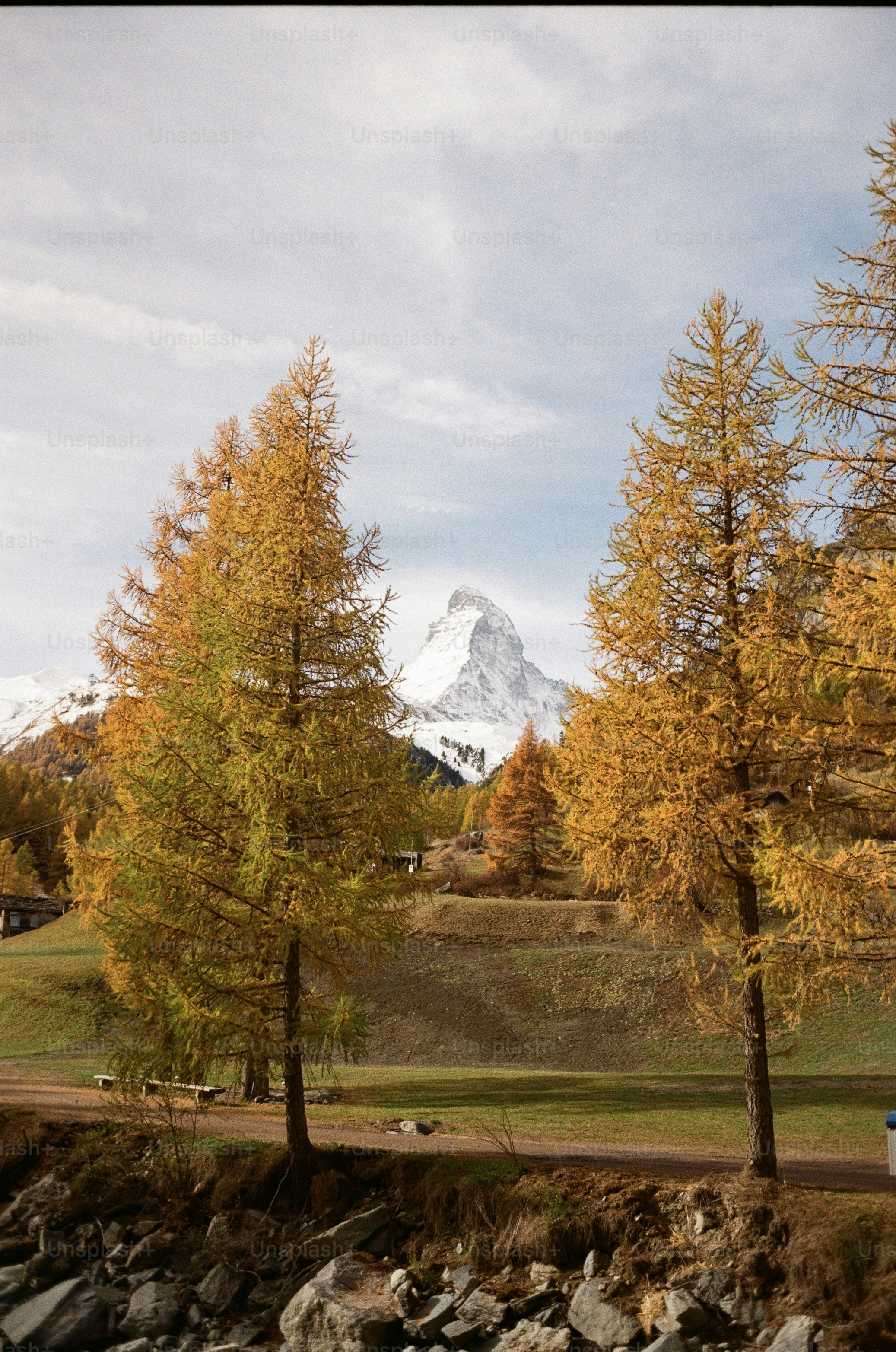 Des arbres d’automne avec un sommet enneigé.