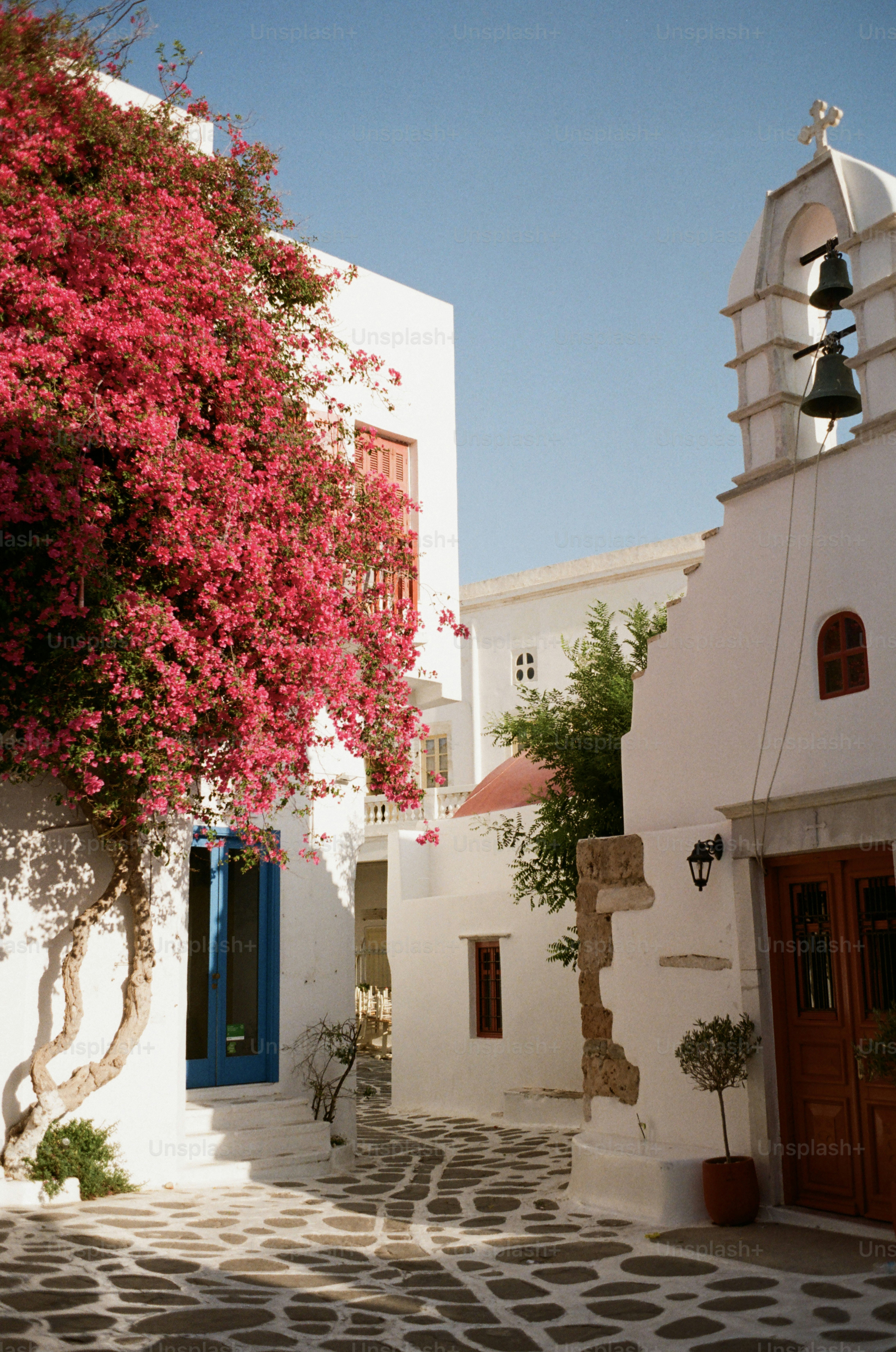 Des bâtiments blancs avec des fleurs rose vif et une porte bleue.