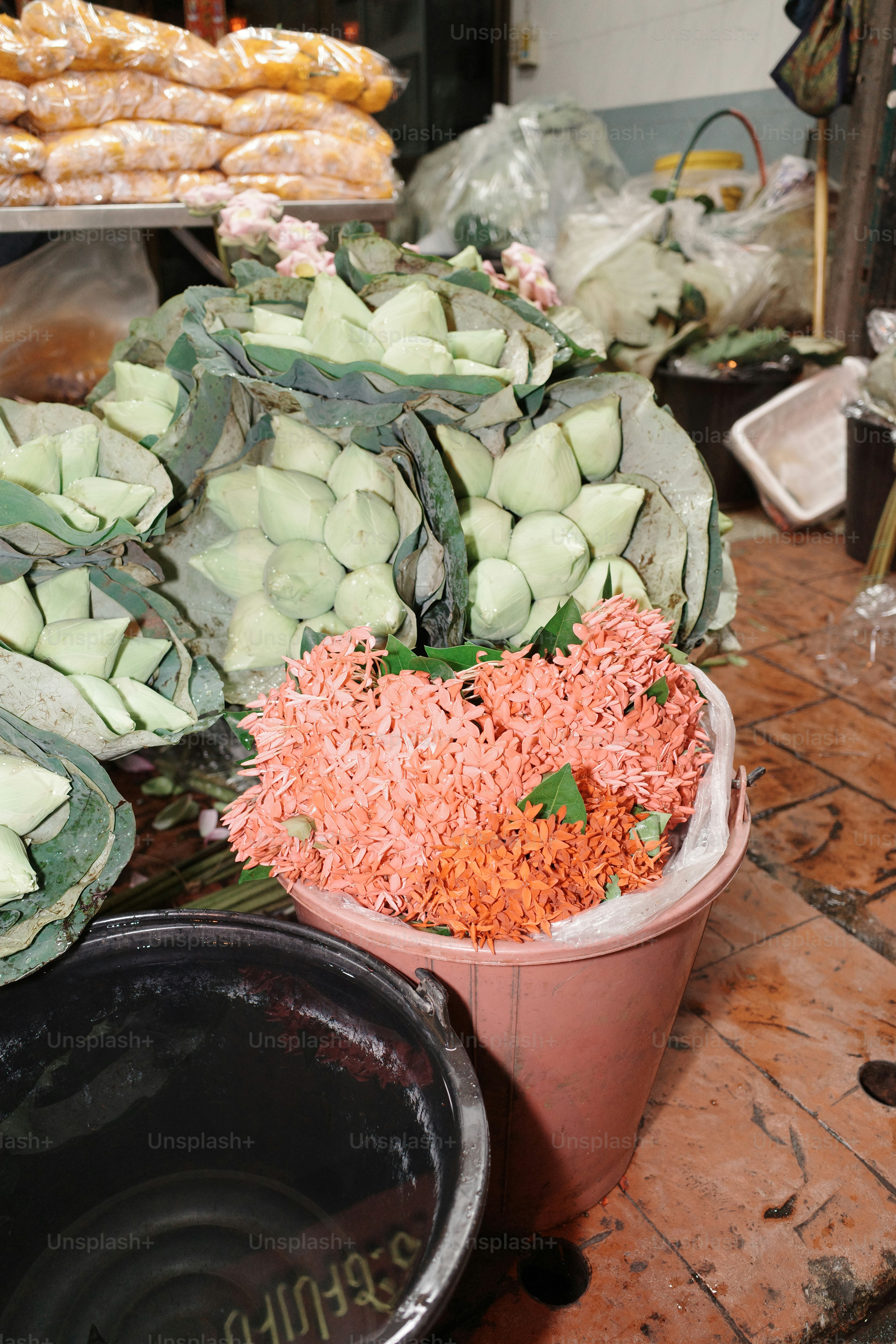 Bucket of pink flowers with lotus flowers behind