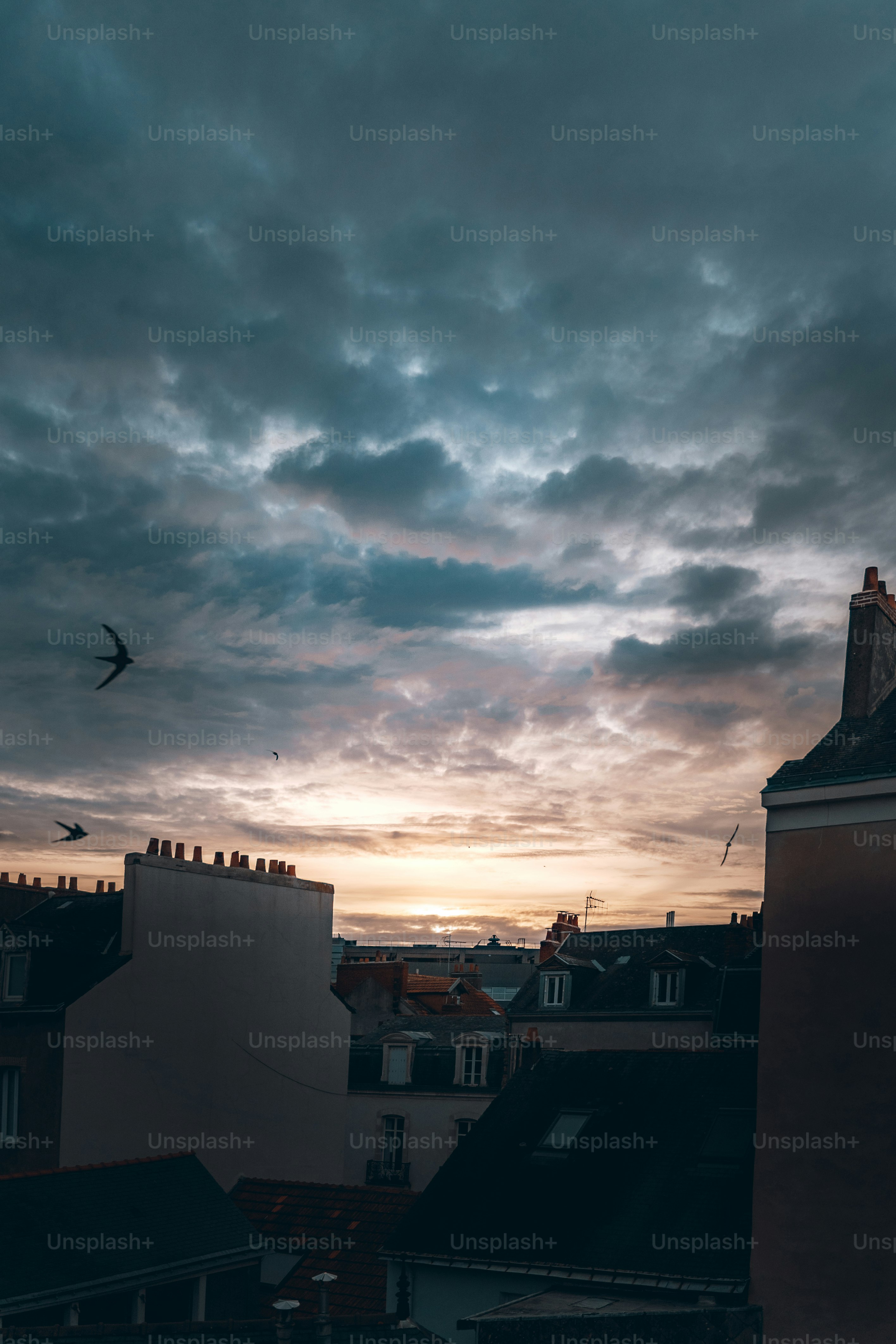 Los pájaros vuelan sobre los tejados al atardecer con nubes dramáticas.