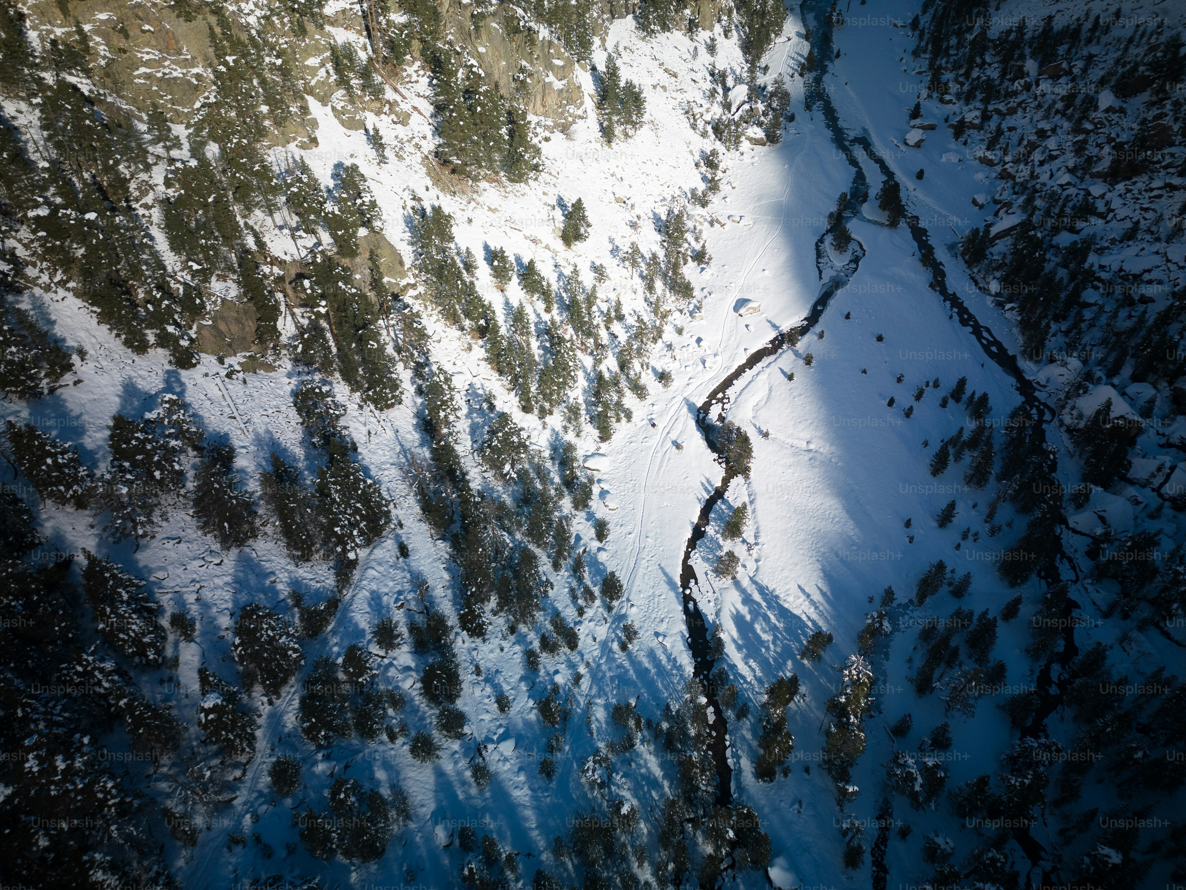 Bosque nevado con un arroyo serpenteante y sombras