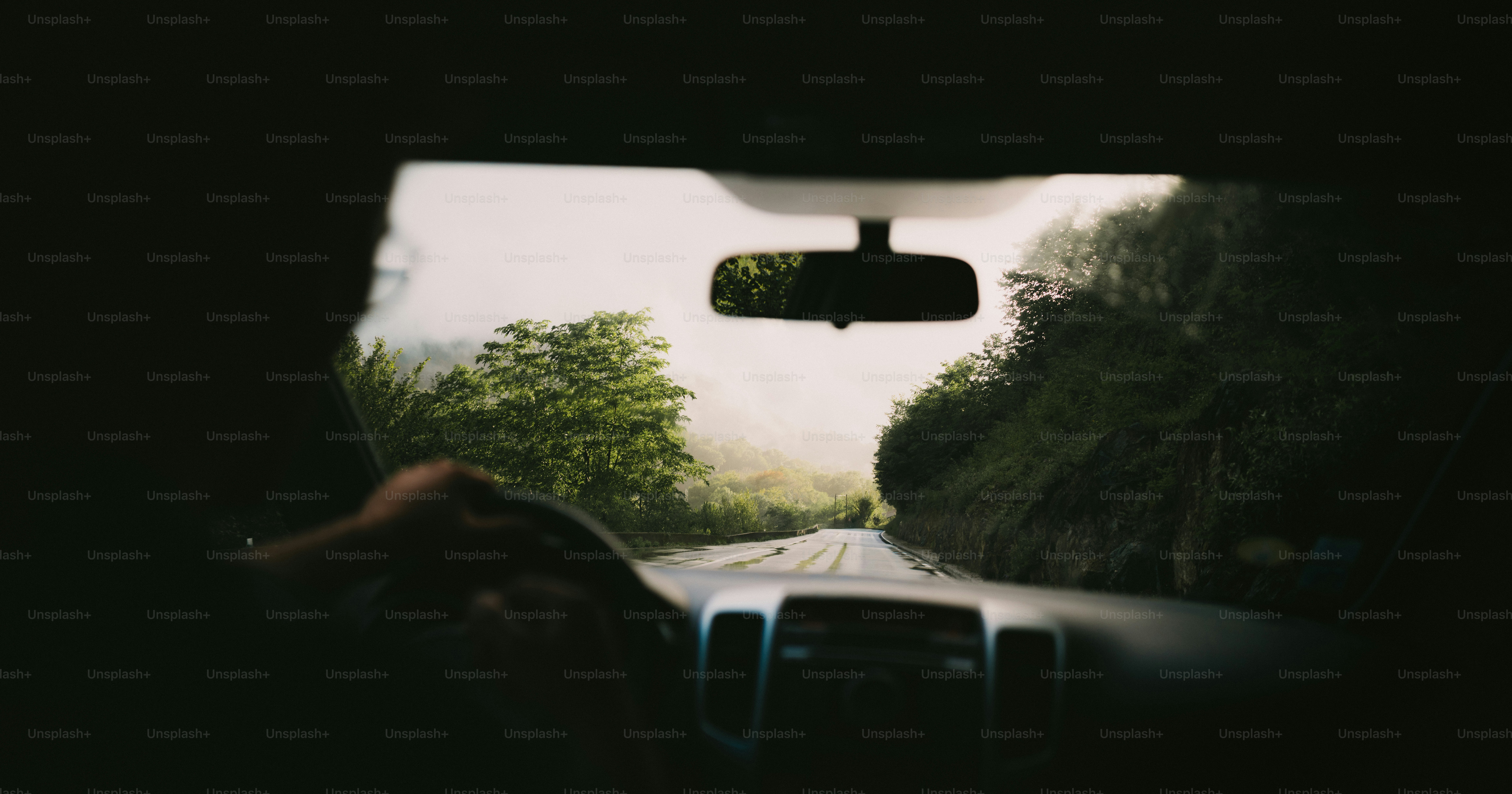 Conduciendo por una carretera sinuosa entre árboles verdes y frondosos.