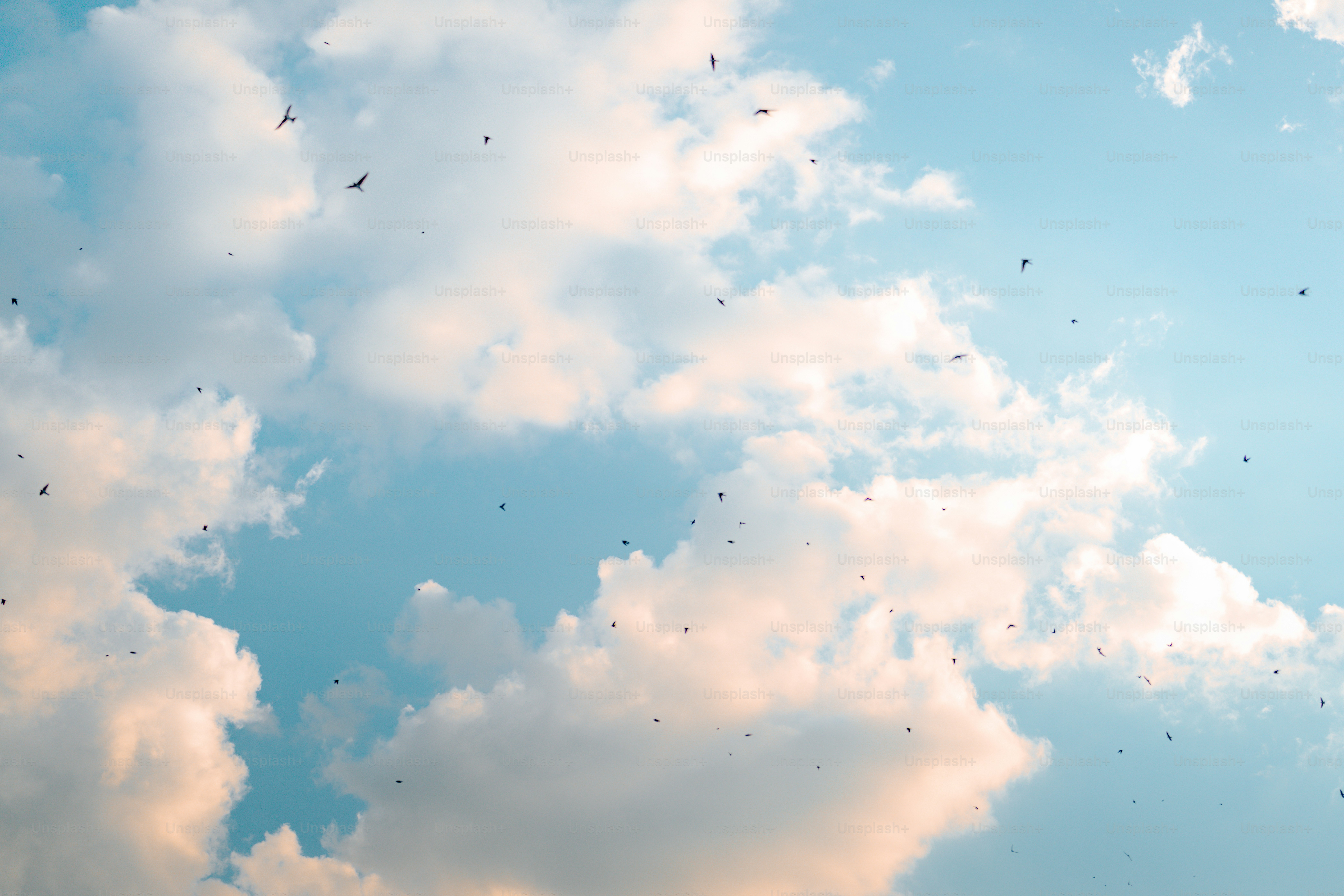 Bandada de pájaros volando en un cielo azul nublado
