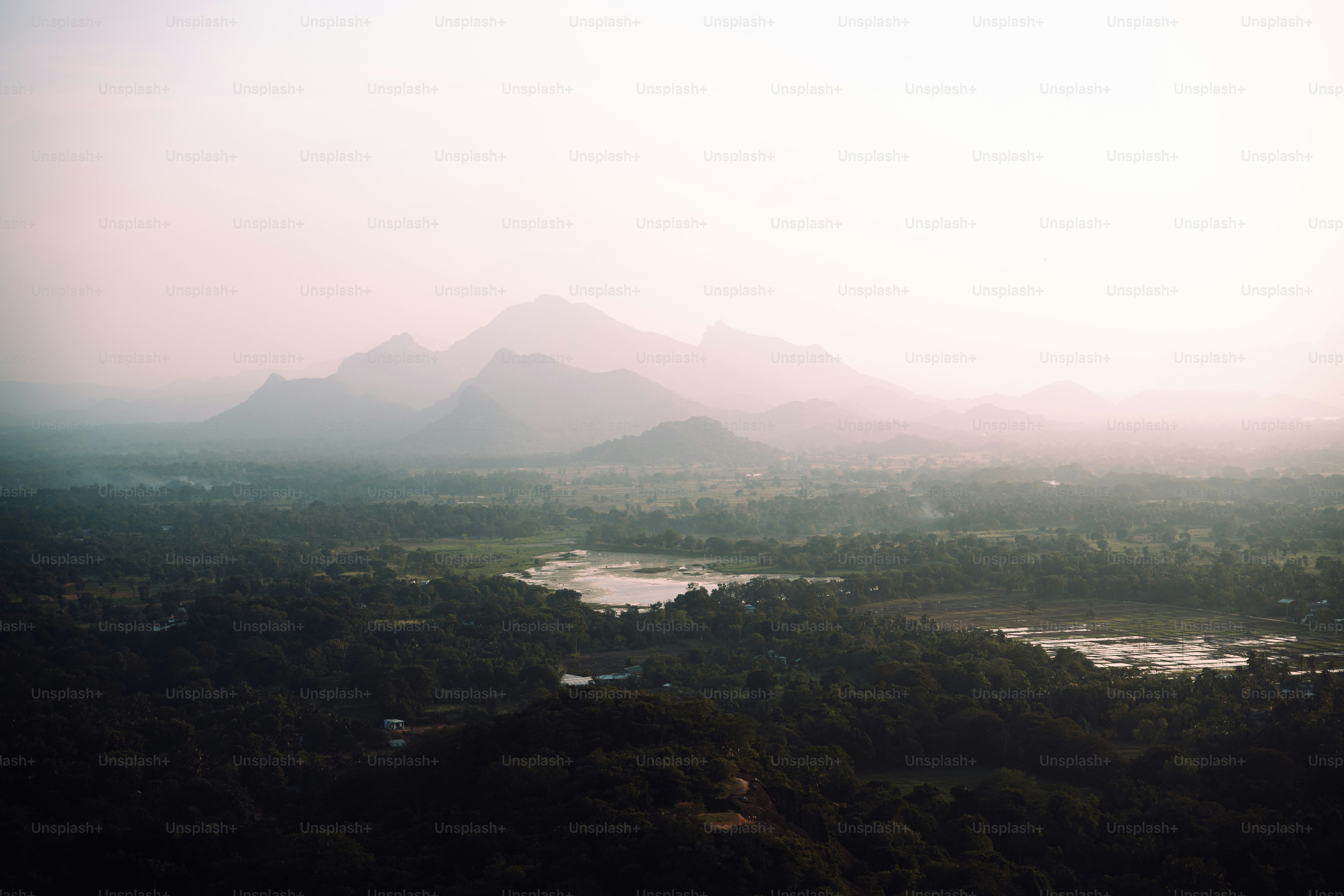 Des montagnes brumeuses s’élèvent au-dessus d’un paysage verdoyant et luxuriant.