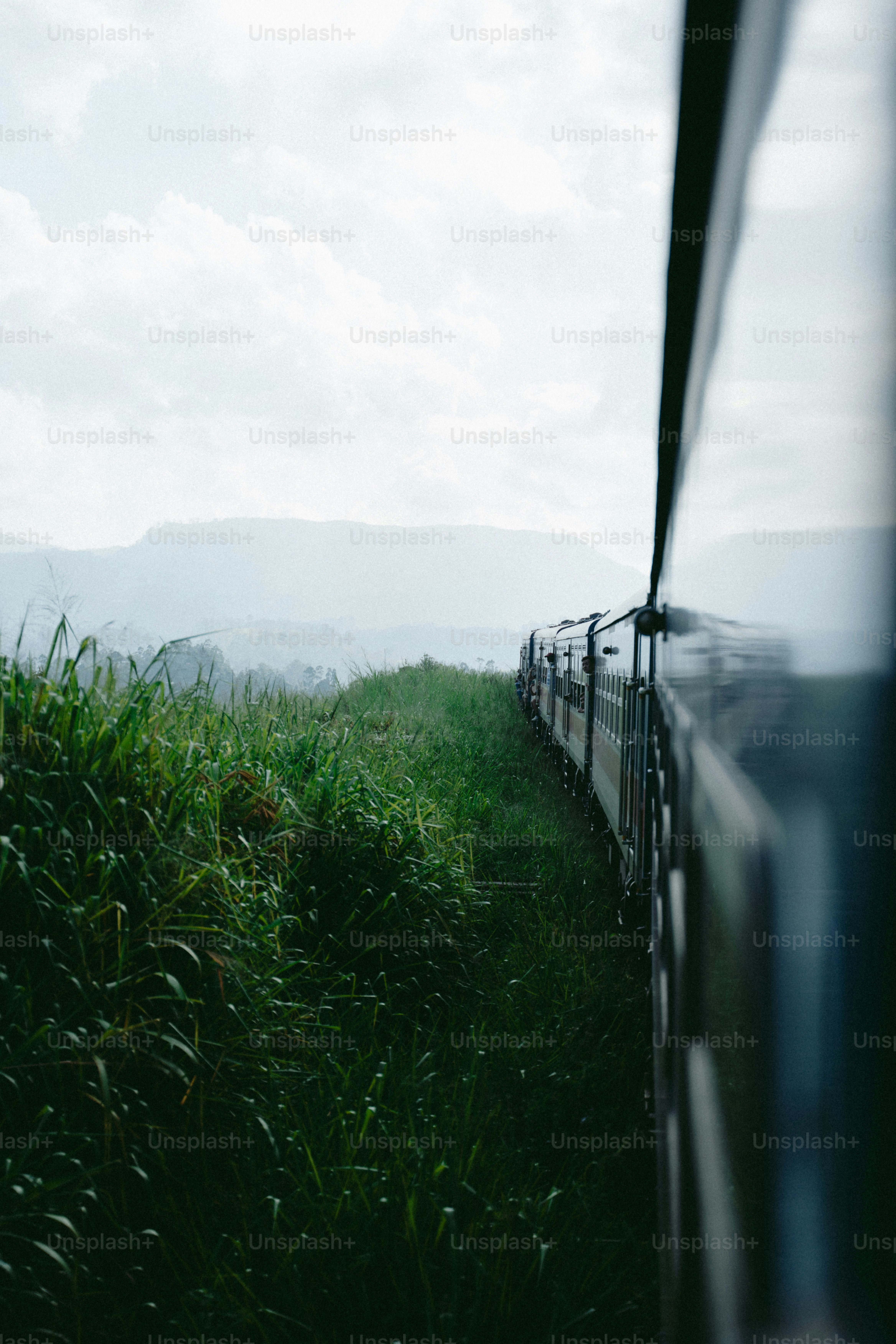 Voyage en train à travers une campagne verdoyante avec des montagnes.
