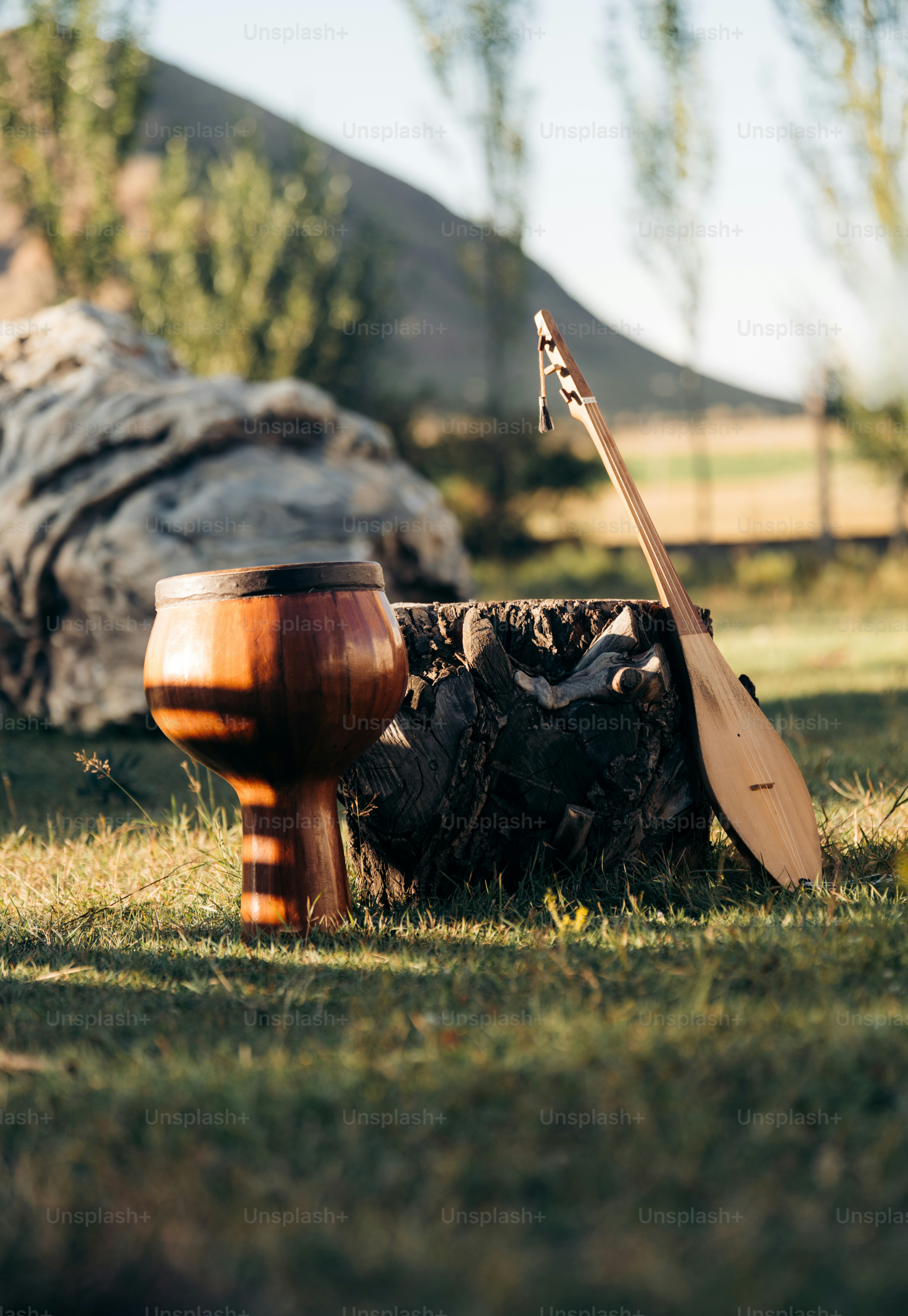 Des instruments de musique traditionnels reposant sur une bûche à l’extérieur.