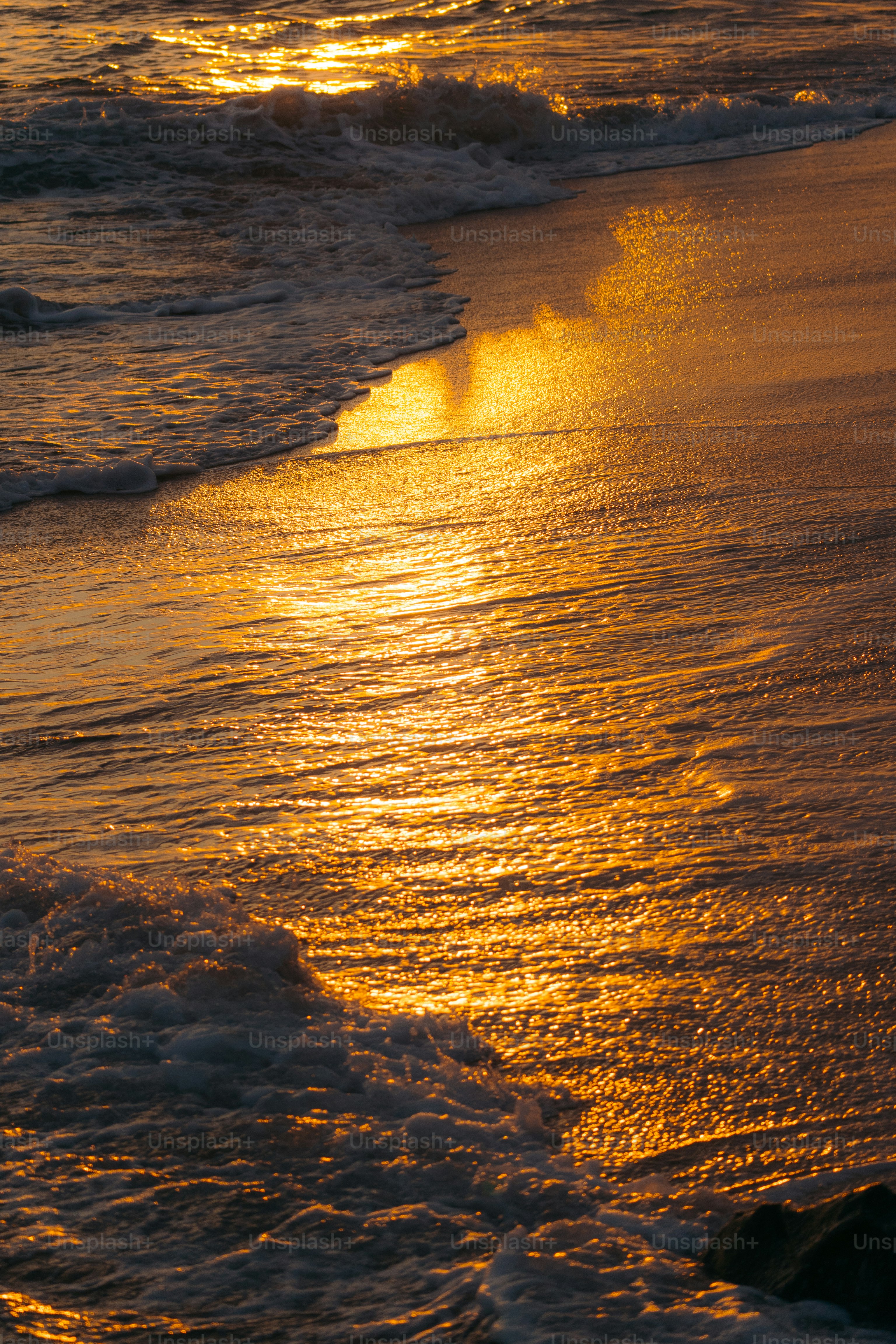 Un coucher de soleil doré se reflète sur le sable mouillé des plages et les vagues.