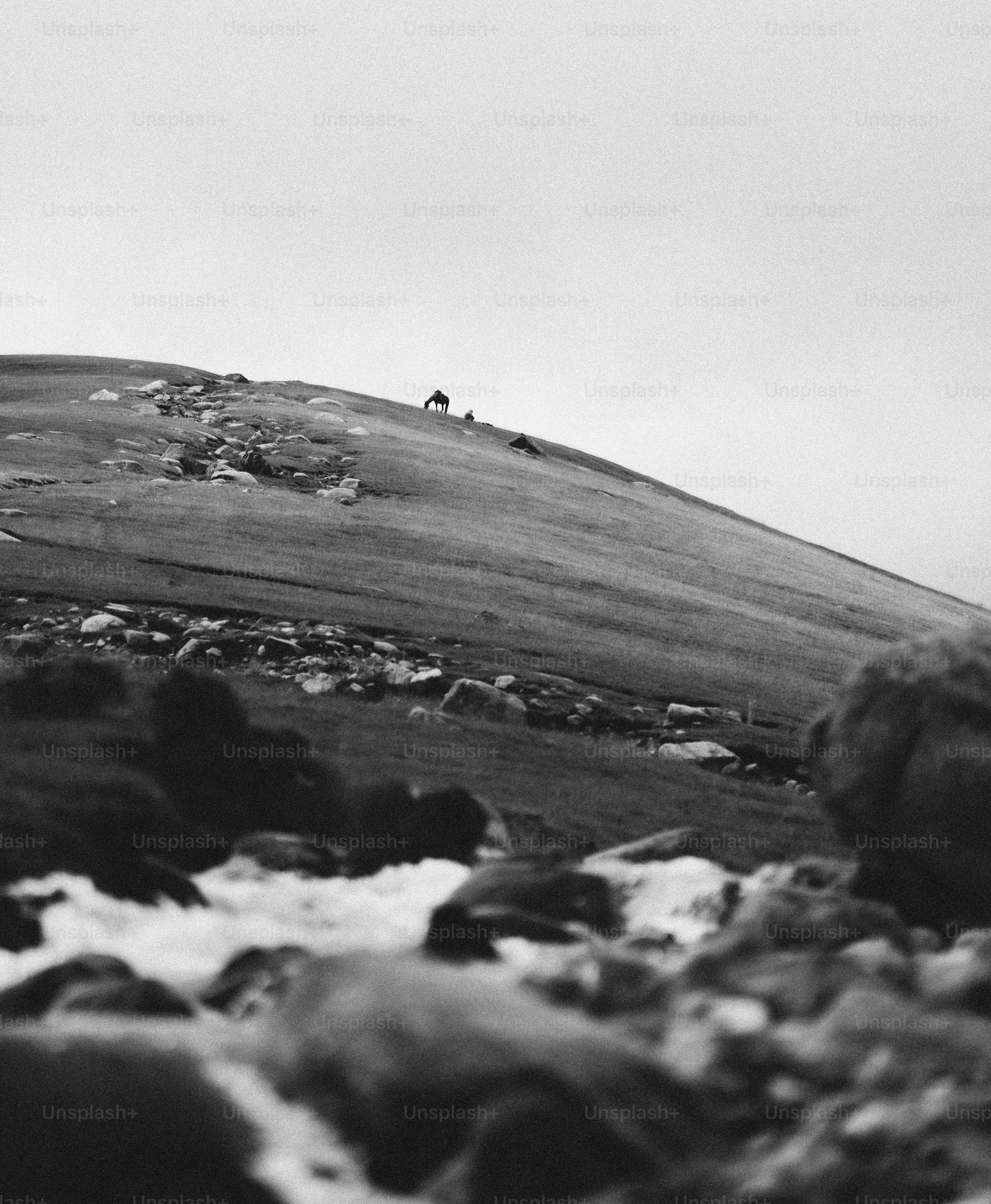Une silhouette solitaire marche sur une colline herbeuse