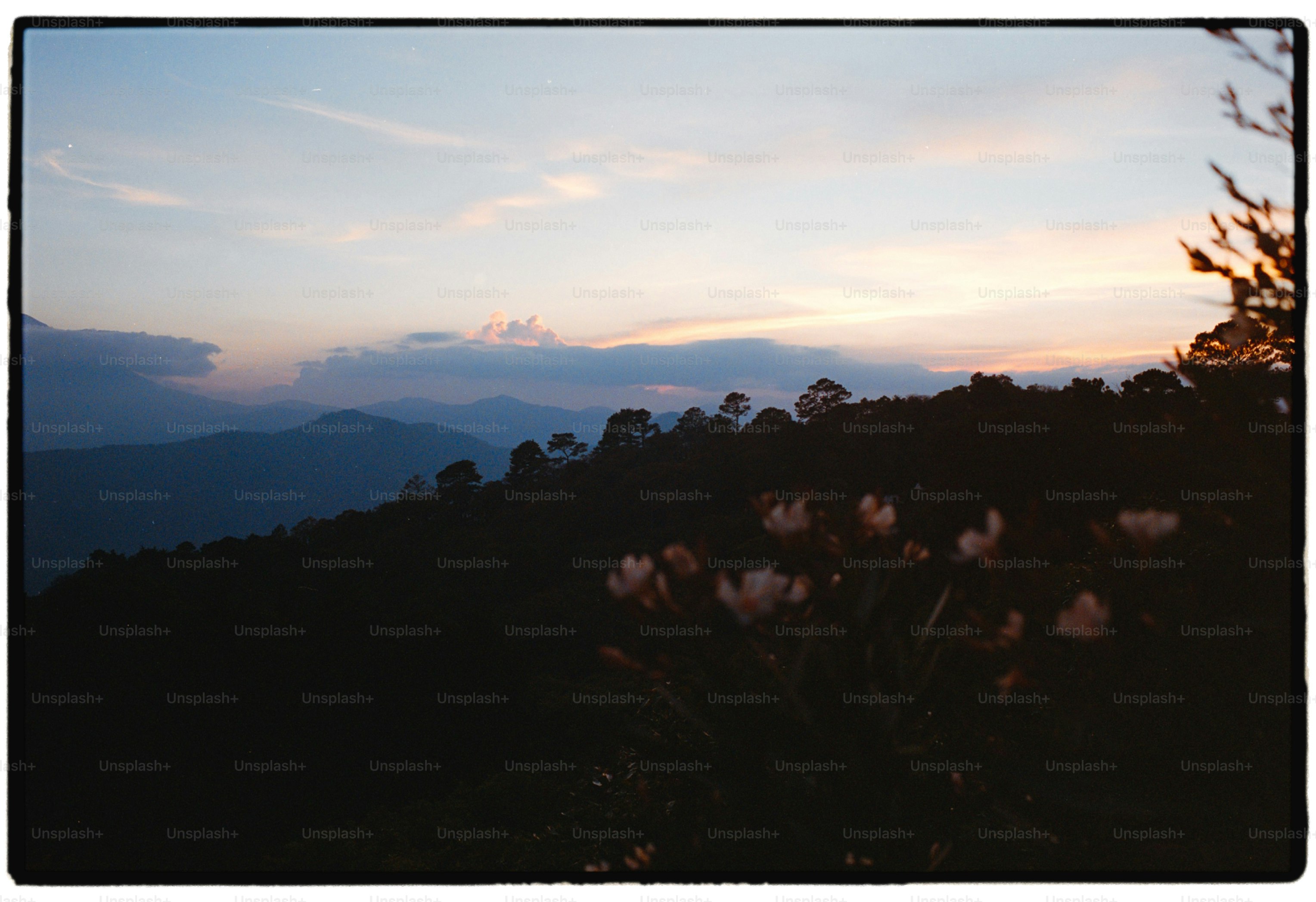 Dusk sky over a forested mountain landscape