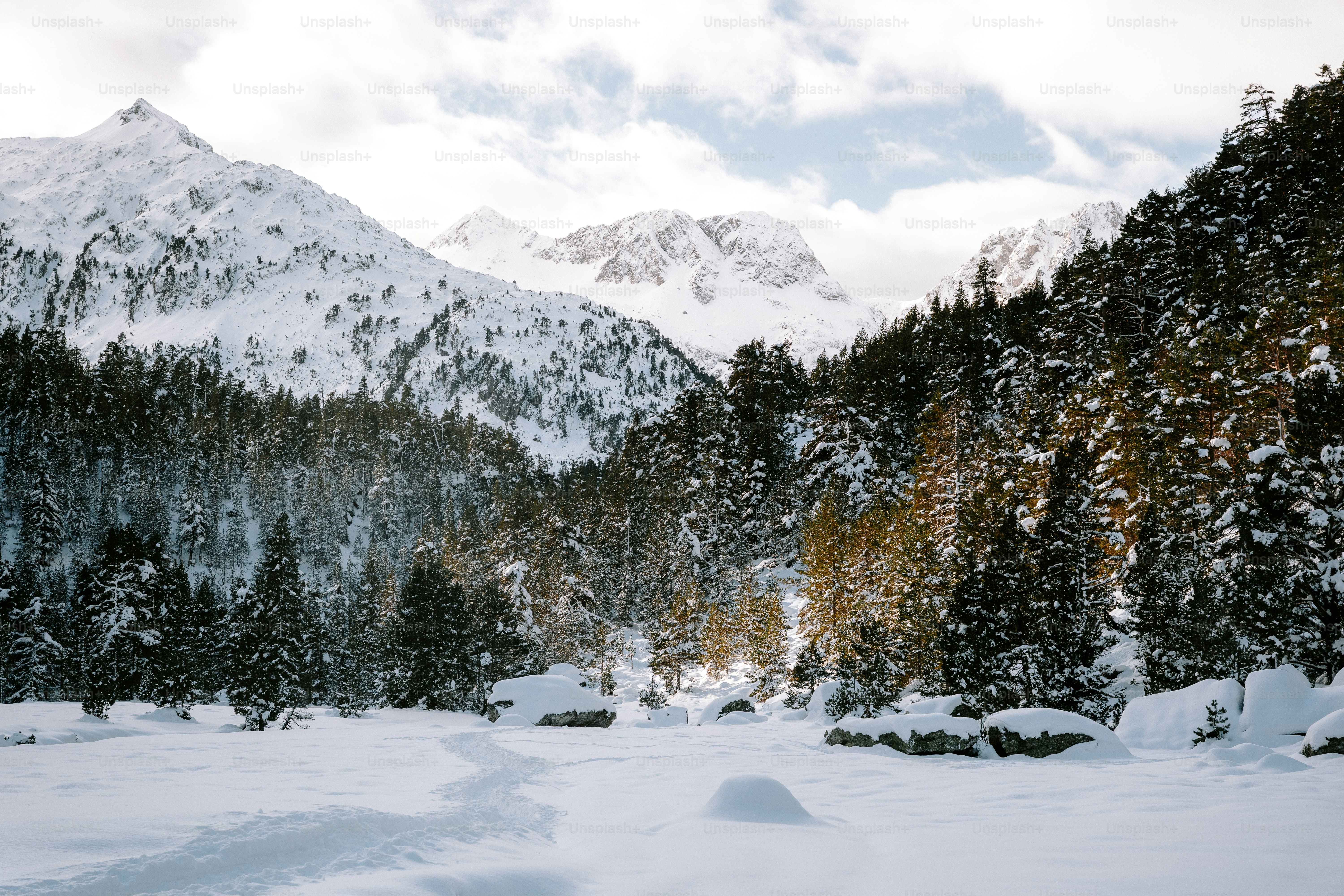 Paisaje montañoso nevado con pinos y nubes.