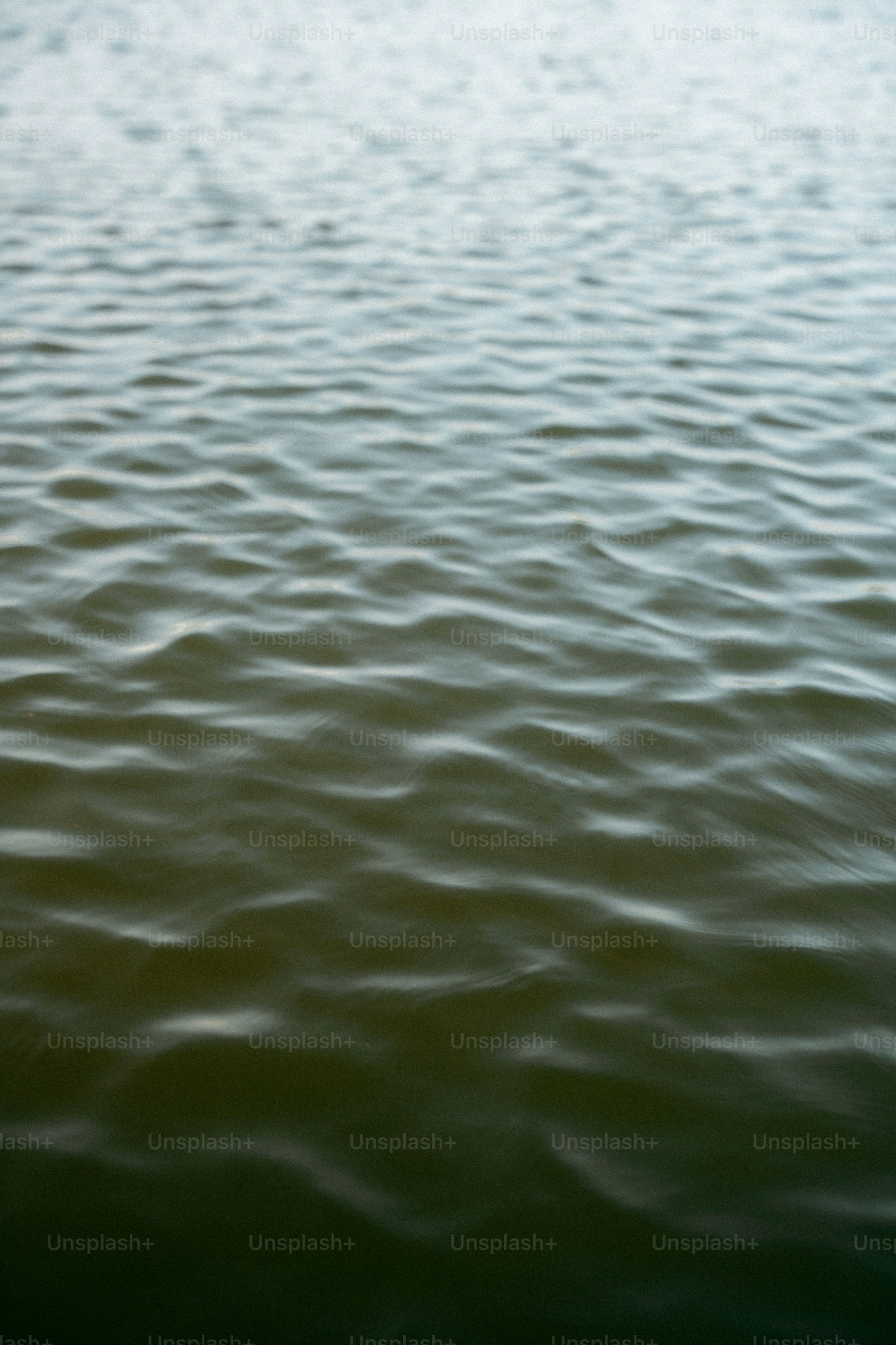 Gentle waves ripple across the water's surface.