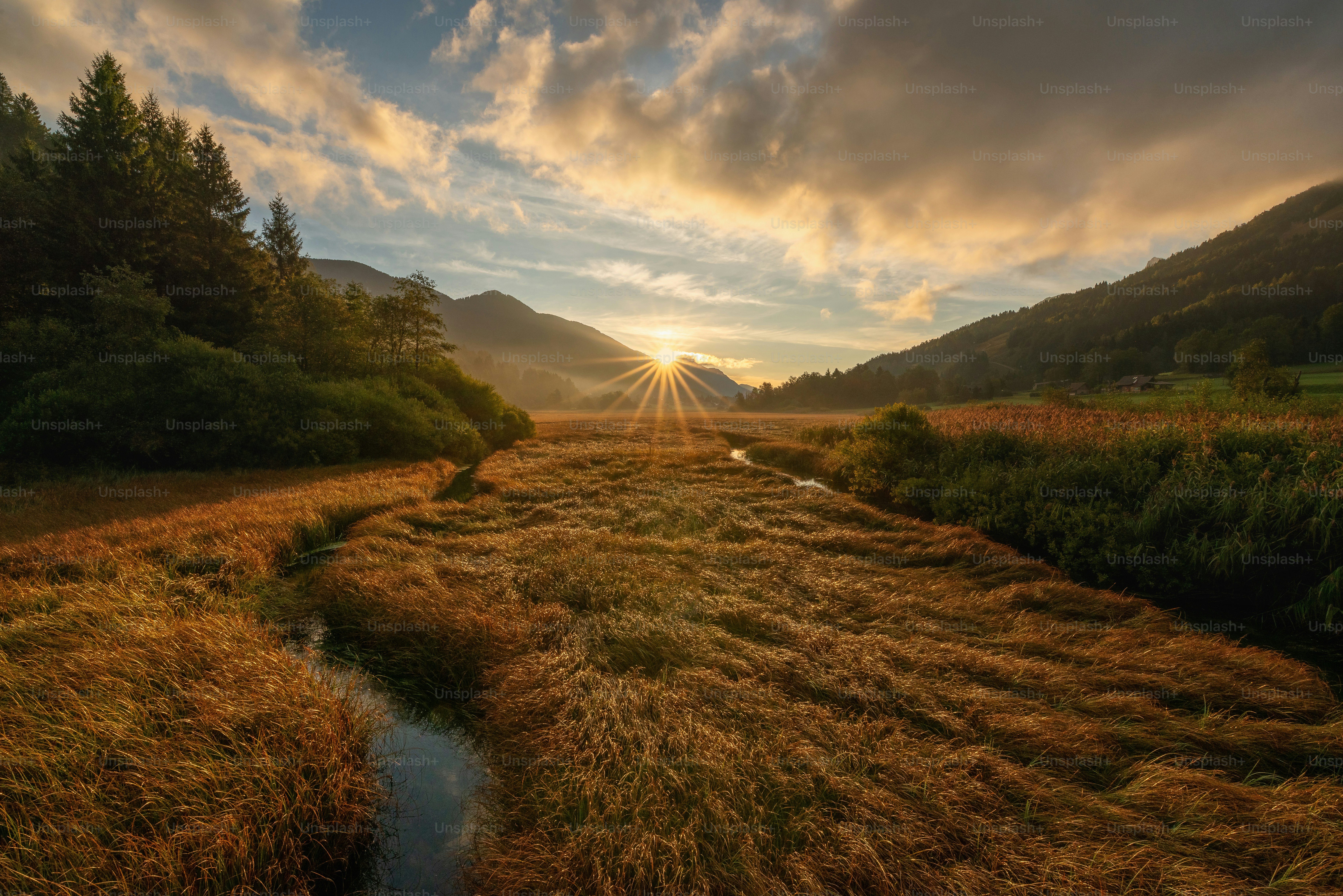 Peaceful golden sunrise over a calm natural landscape