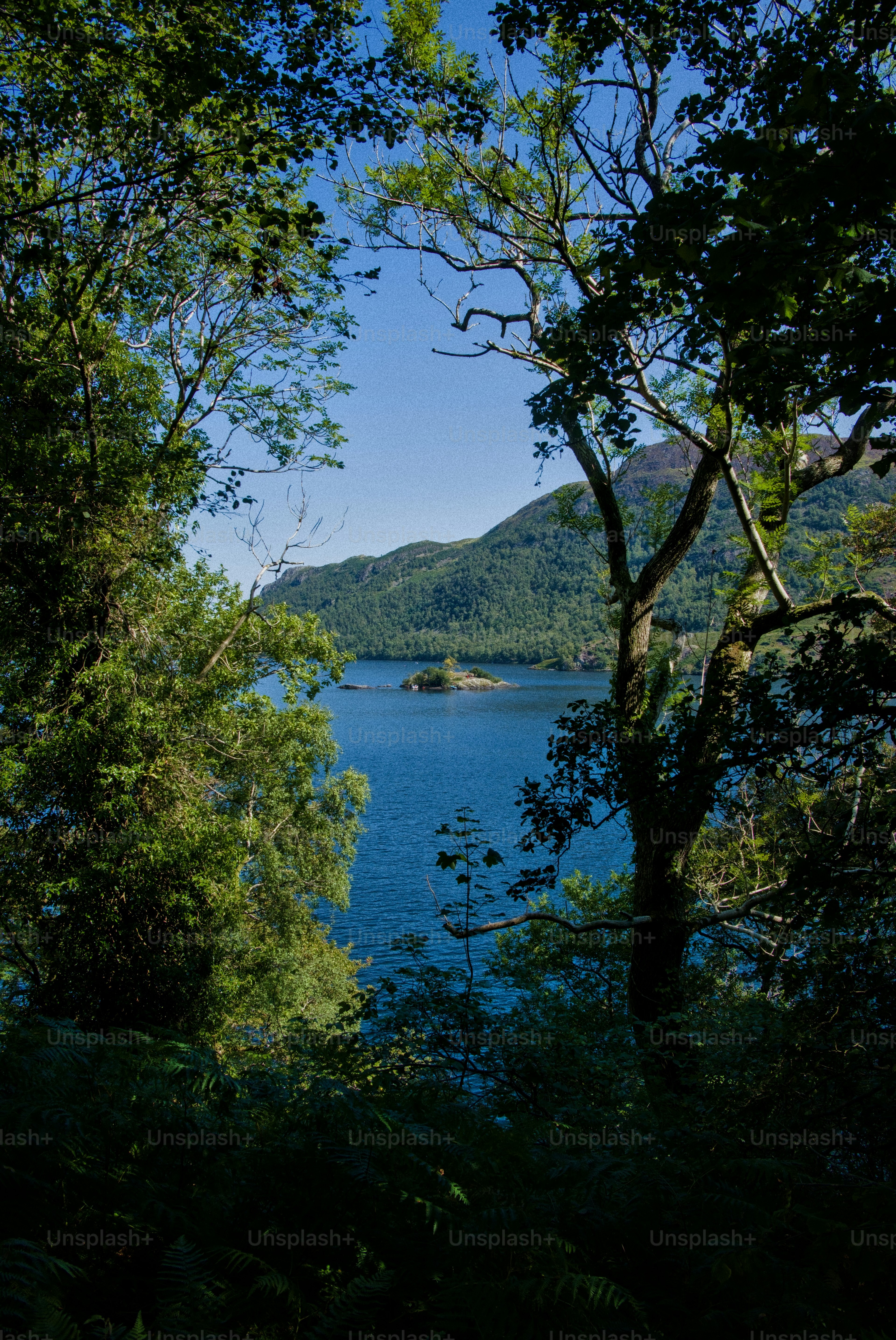 Framed view of a tranquil lake and distant mountains