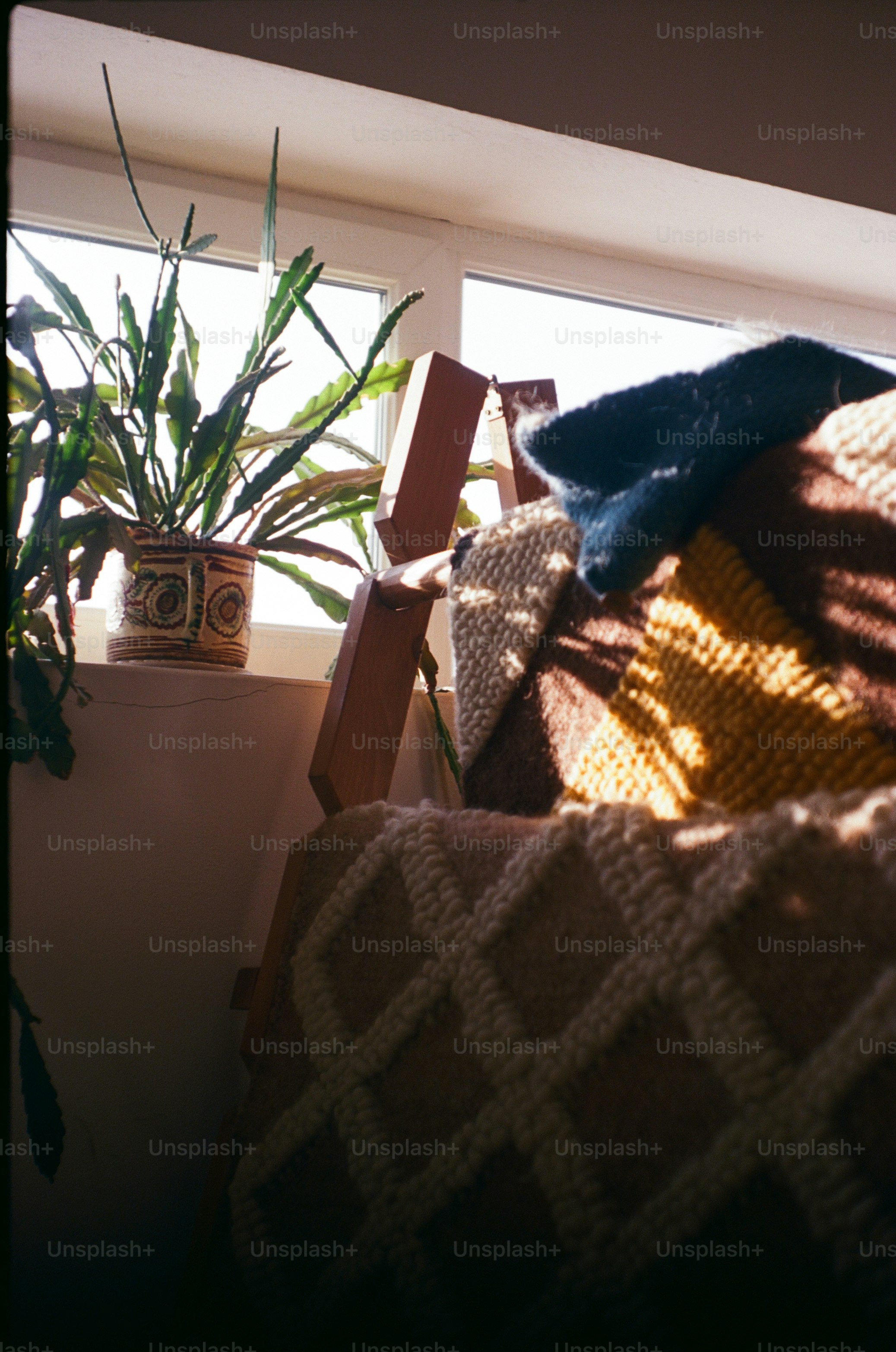 Potted plant on windowsill near patterned blanket