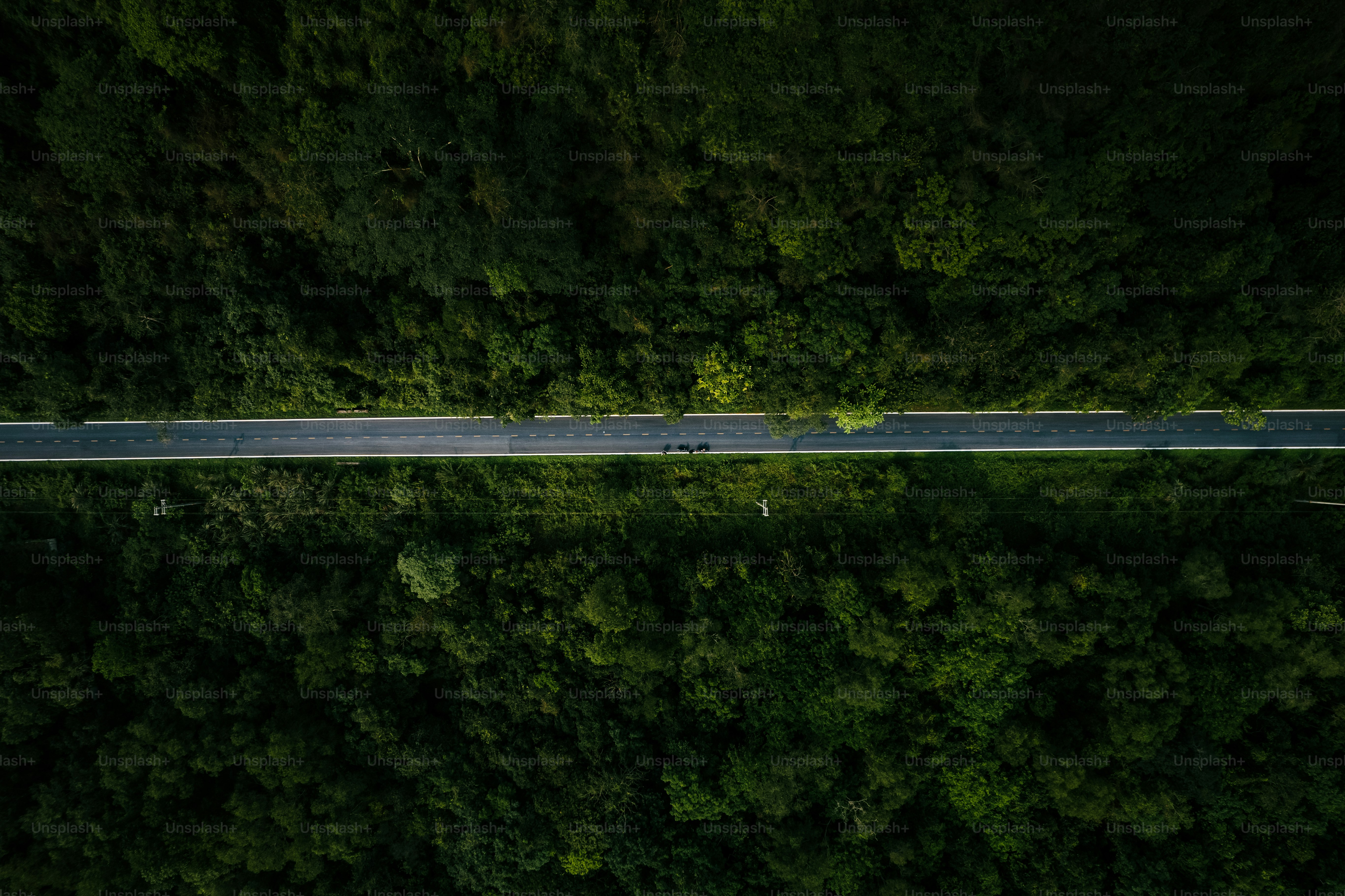 Luftaufnahme einer Straße durch einen dichten Wald