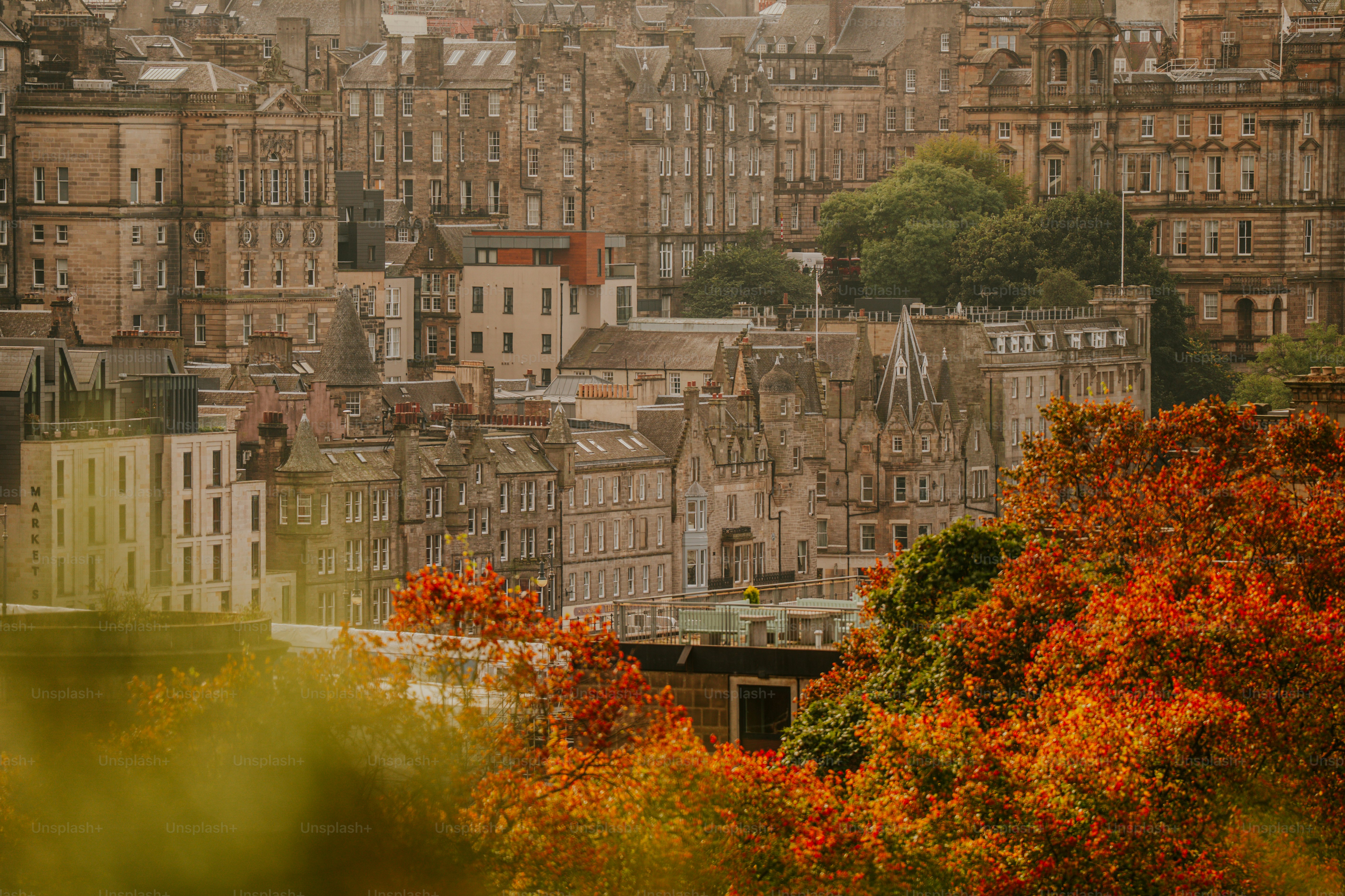 Herbstlaub vor historischen Gebäuden in Edinburgh.