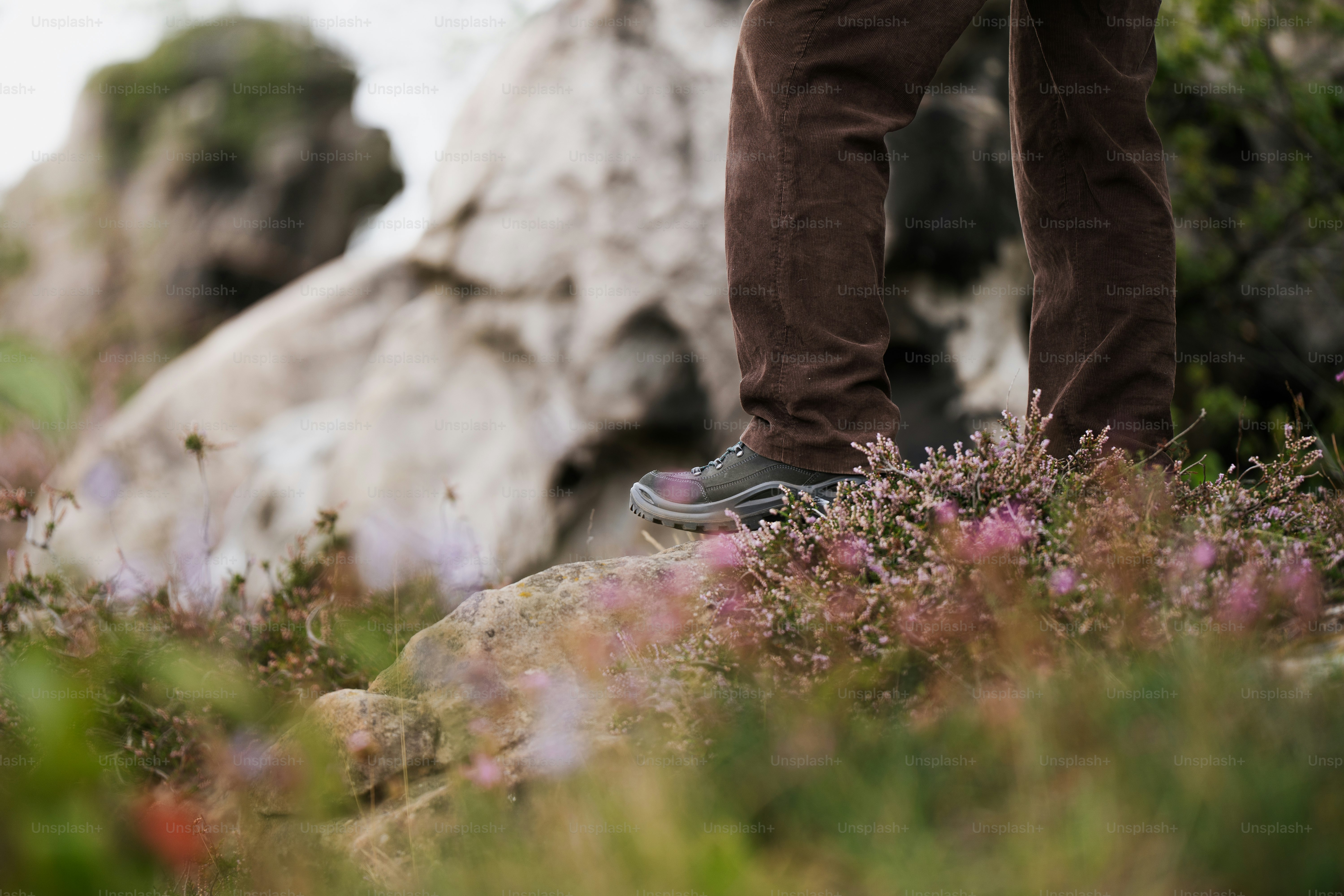 Die Beine einer Person stehen in Heidekraut und Felsen